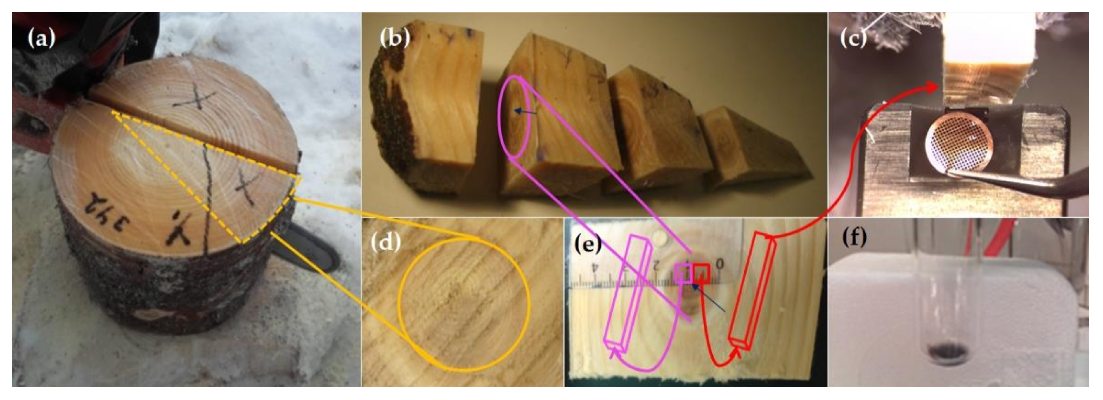 Molecules 25 02997 g009 Molecules 25 02997 g009