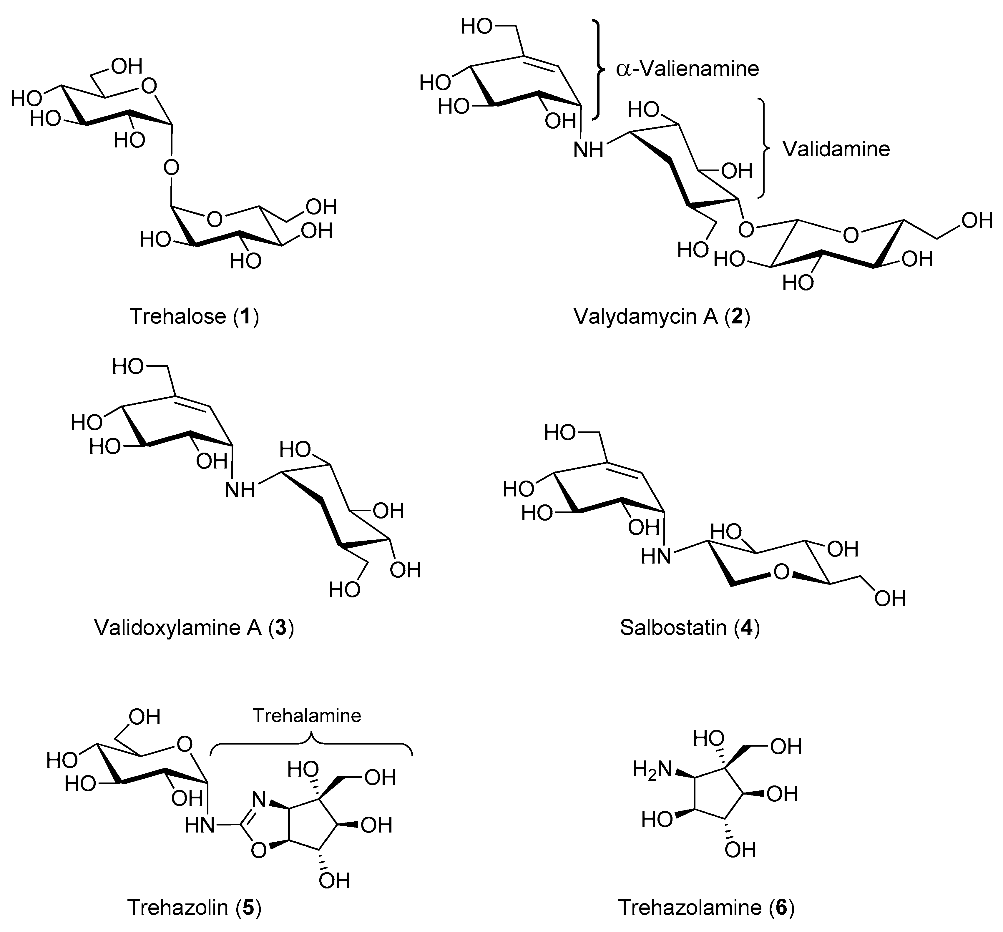 Molecules 25 03013 g001 Molecules 25 03013 g001