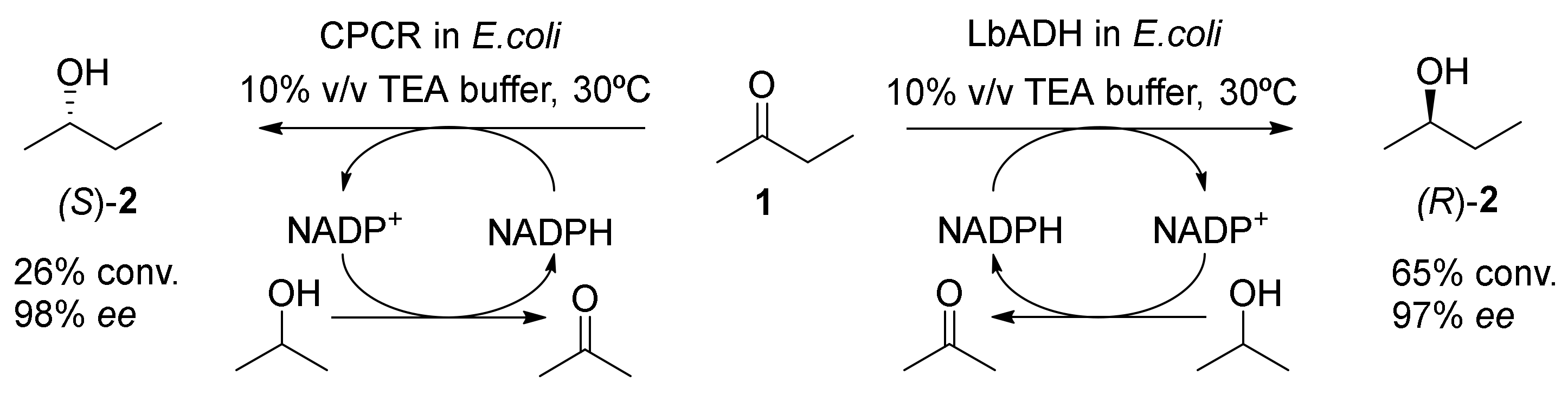 Molecules 25 03016 sch001