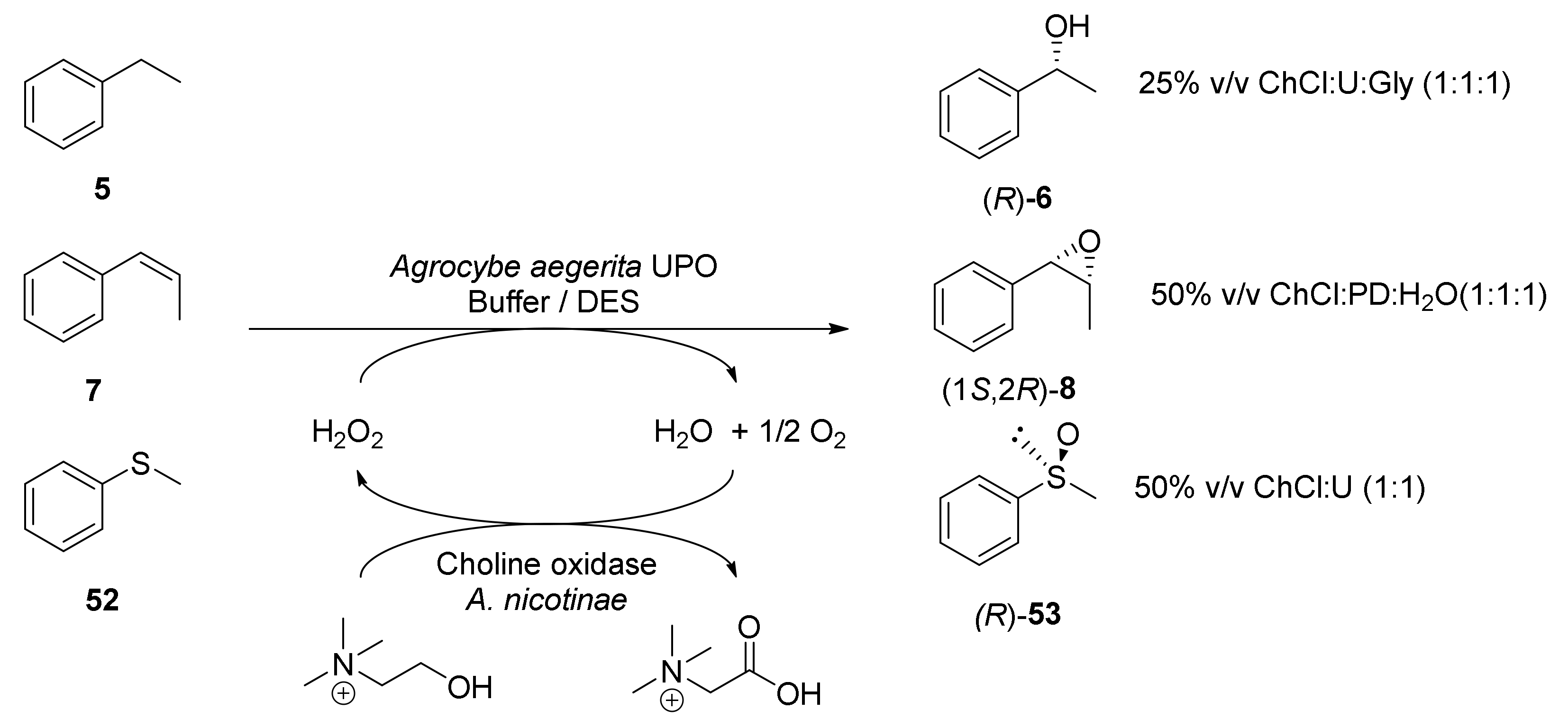 Molecules Free Full Text Biocatalyzed Redox Processes Employing Green Reaction Media Html