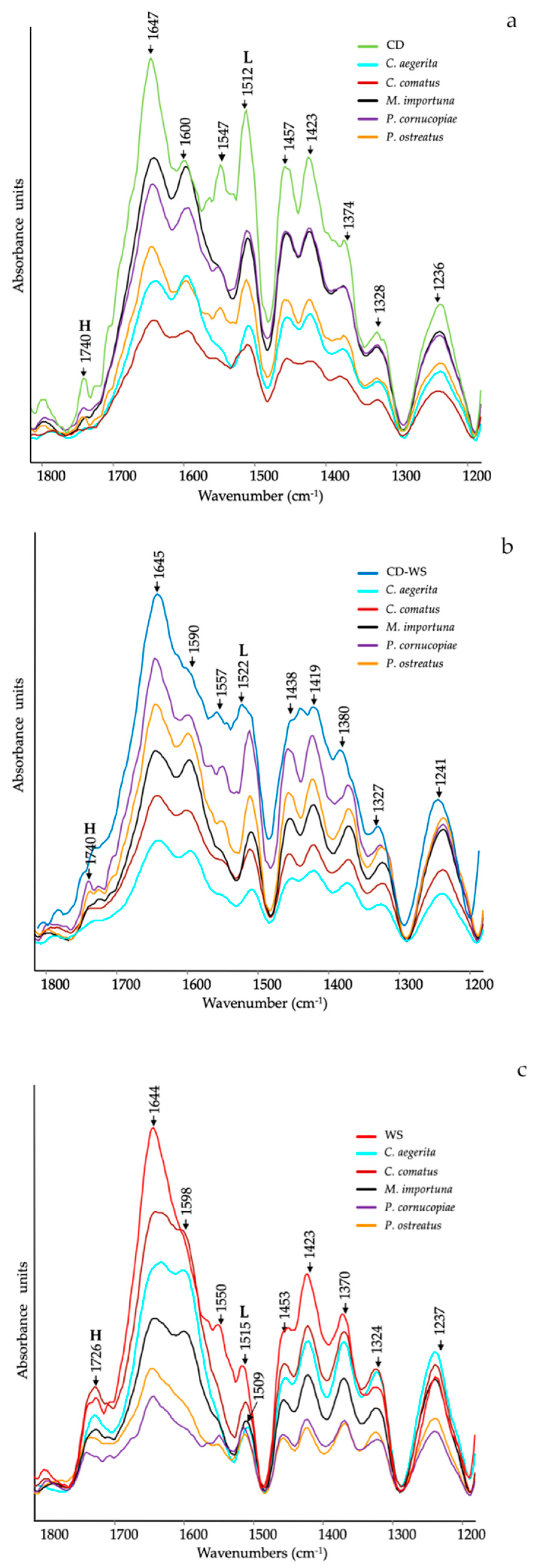 Molecules 25 03020 g001