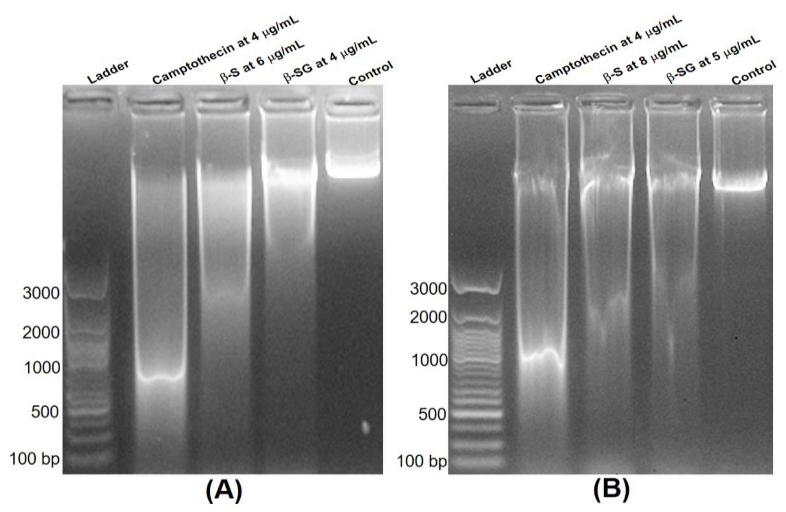 Molecules 25 03021 g006 Molecules 25 03021 g006