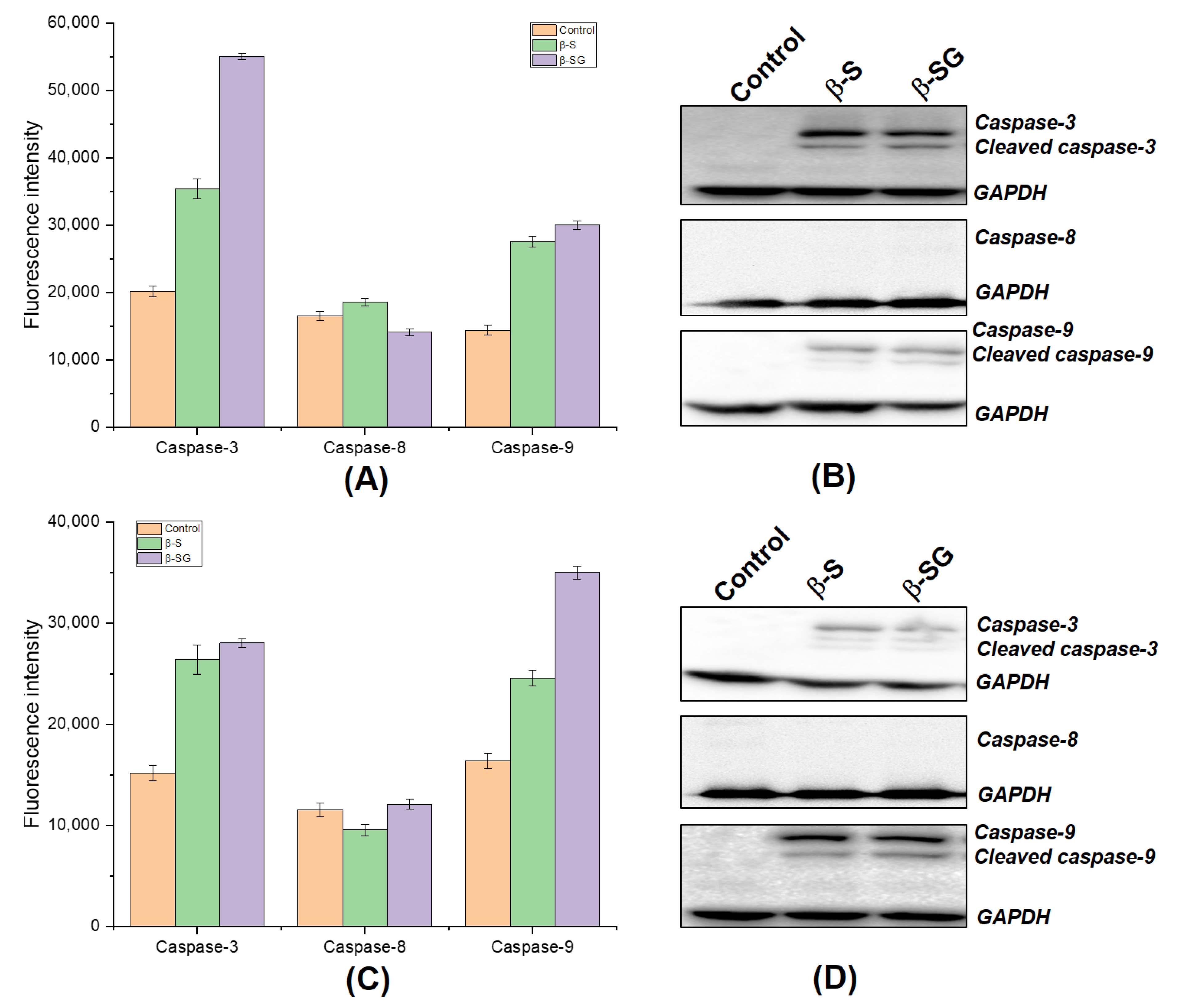 Molecules 25 03021 g008 Molecules 25 03021 g008