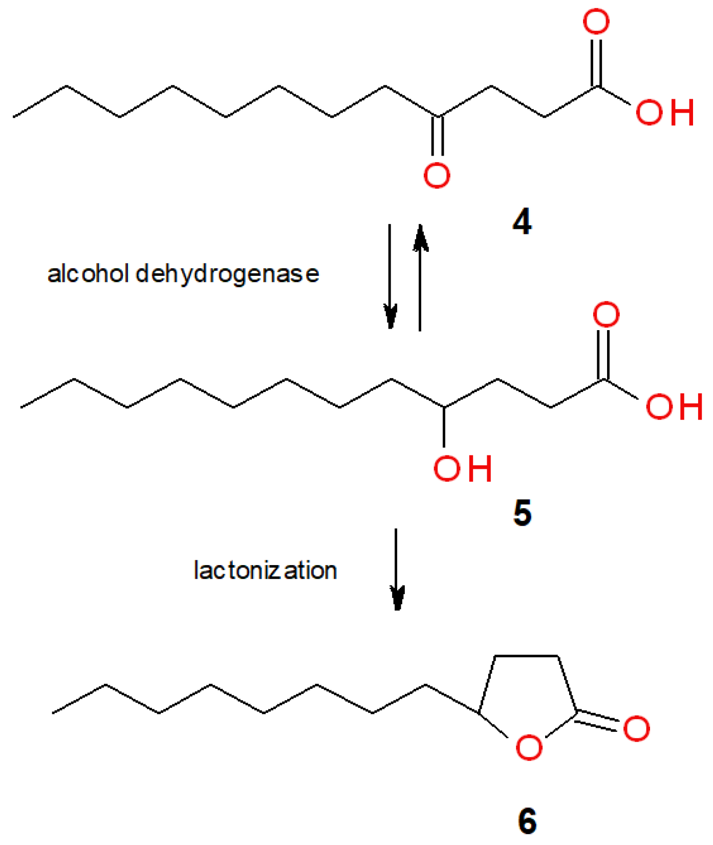 Molecules 25 03024 sch002
