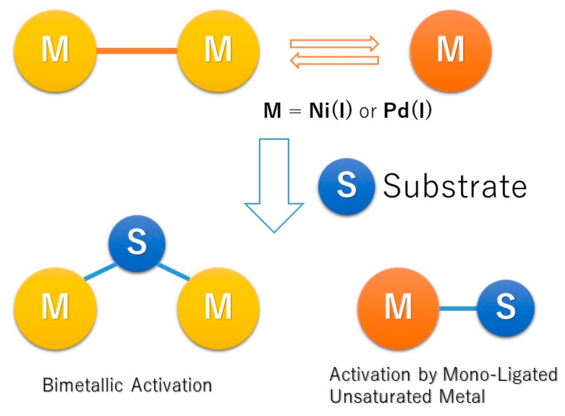 Molecules 25 03038 i006 Molecules 25 03038 i006