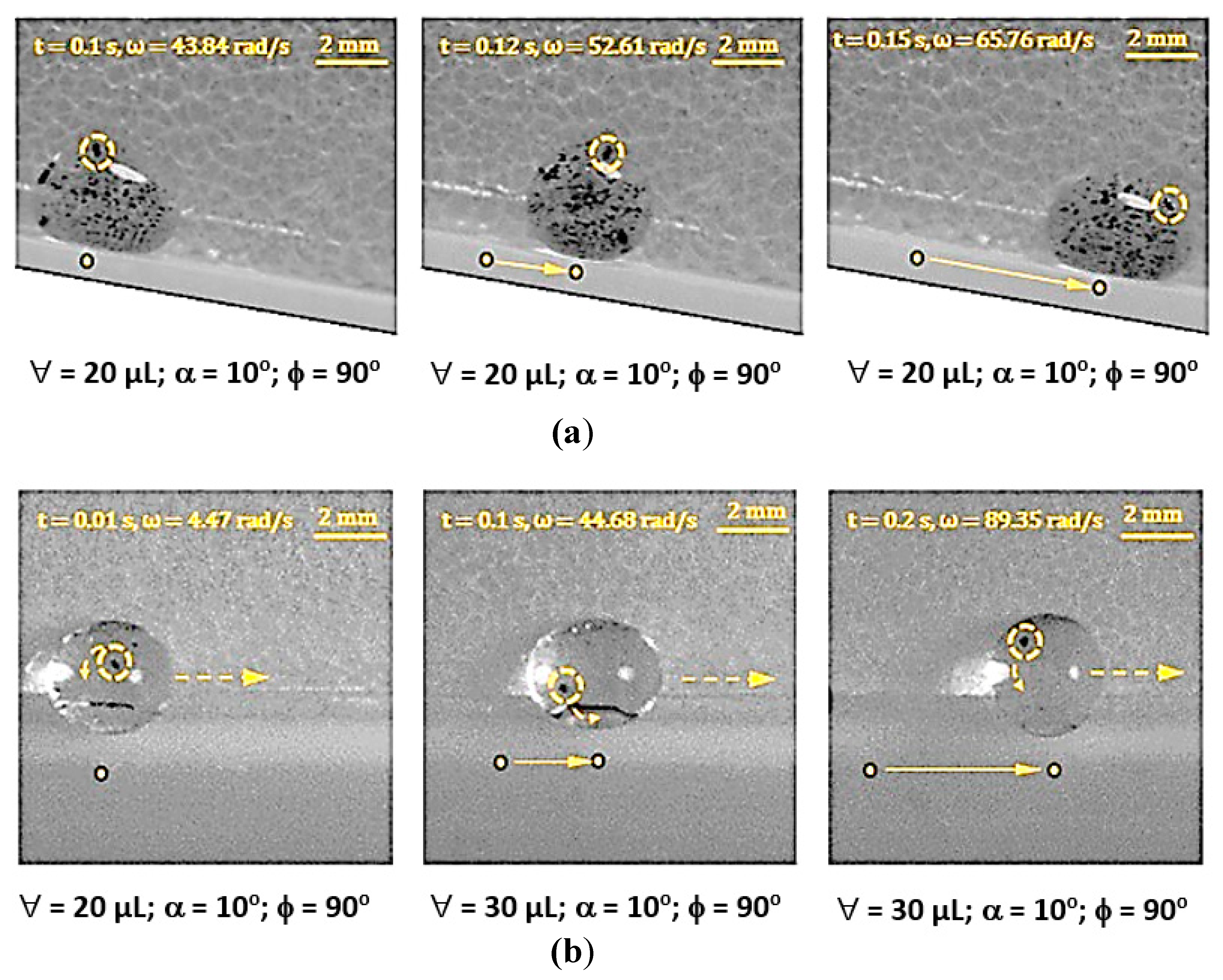 Molecules 25 03039 g006