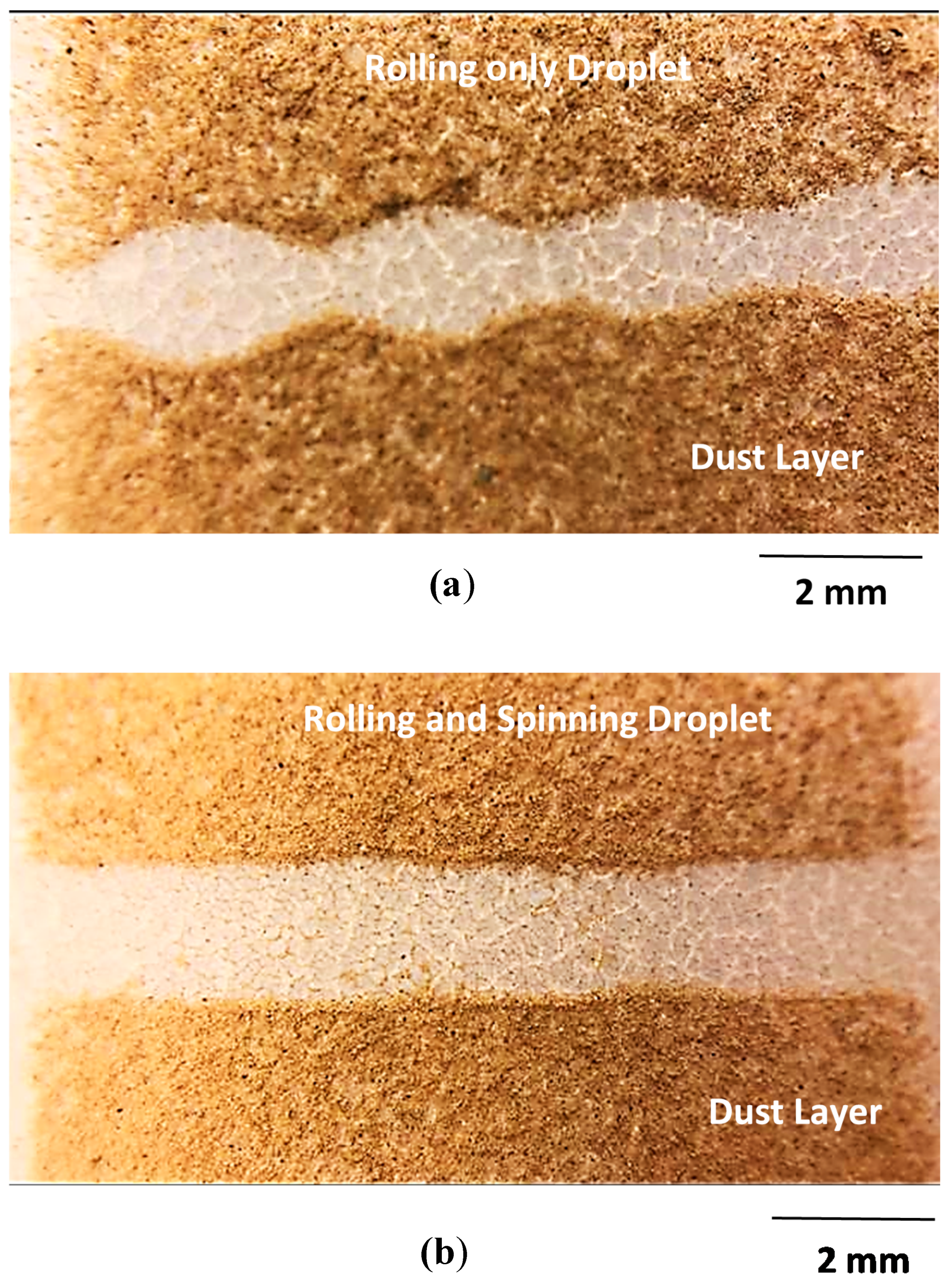 Molecules 25 03039 g011