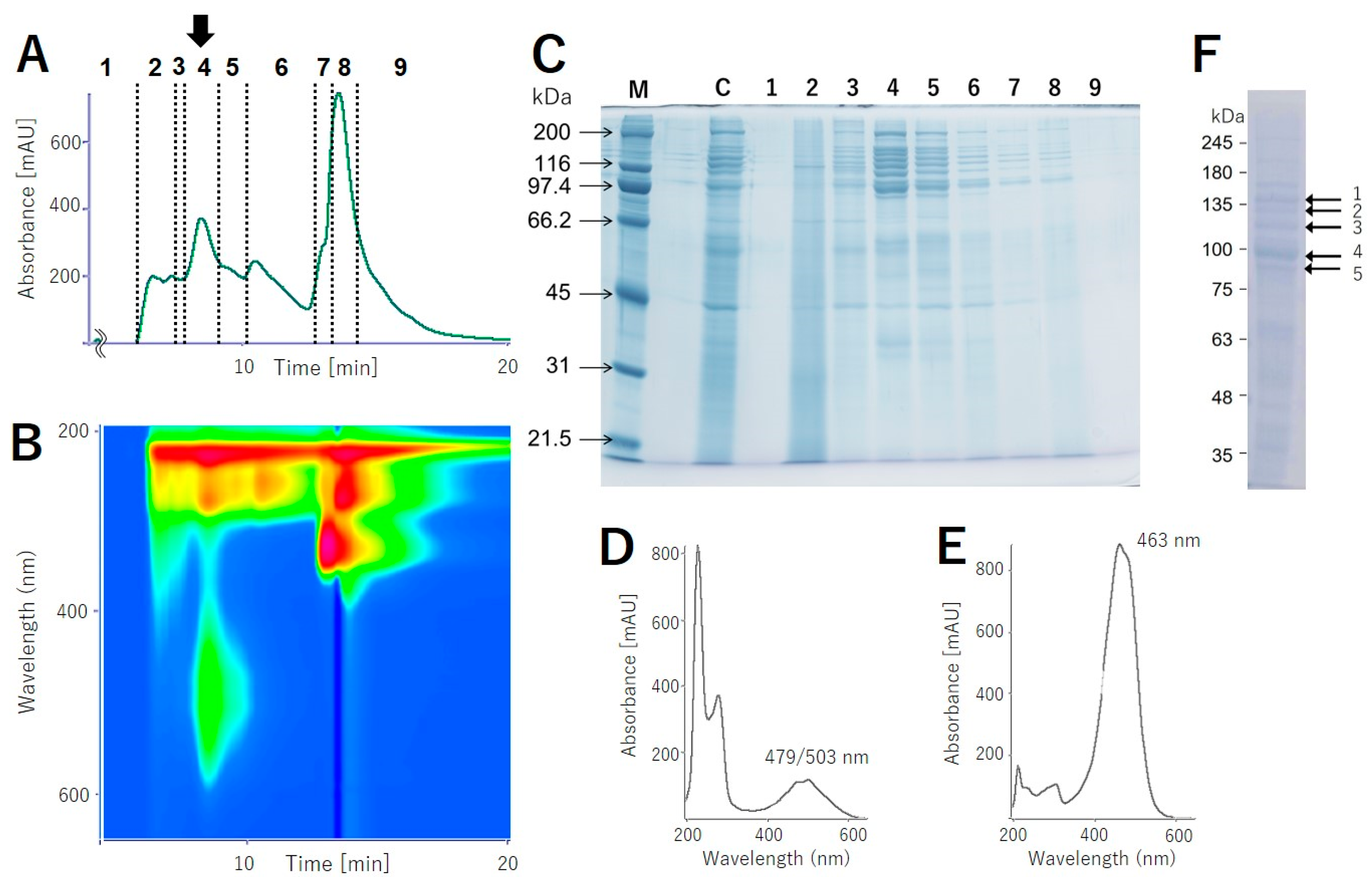 Molecules 25 03042 g001