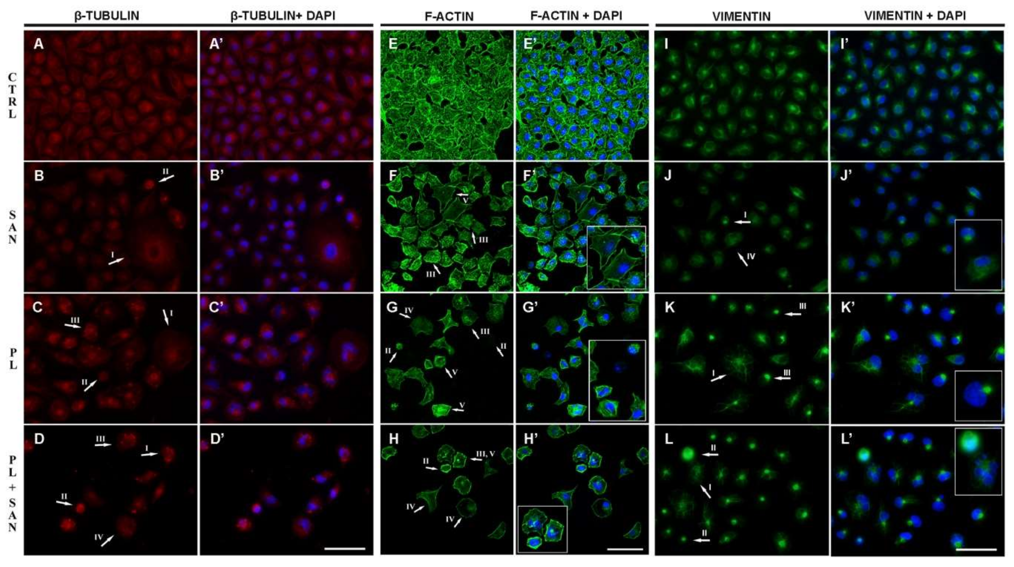 Molecules 25 03045 g008 Molecules 25 03045 g008
