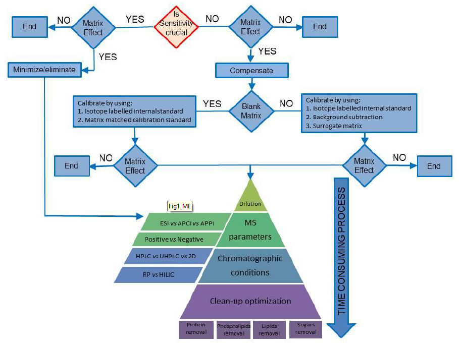 Molecules | Free Full-Text | Compensate or Minimize Matrix Strategies for Overcoming Effects in Liquid Chromatography-Mass Spectrometry Technique: A Tutorial Review | HTML