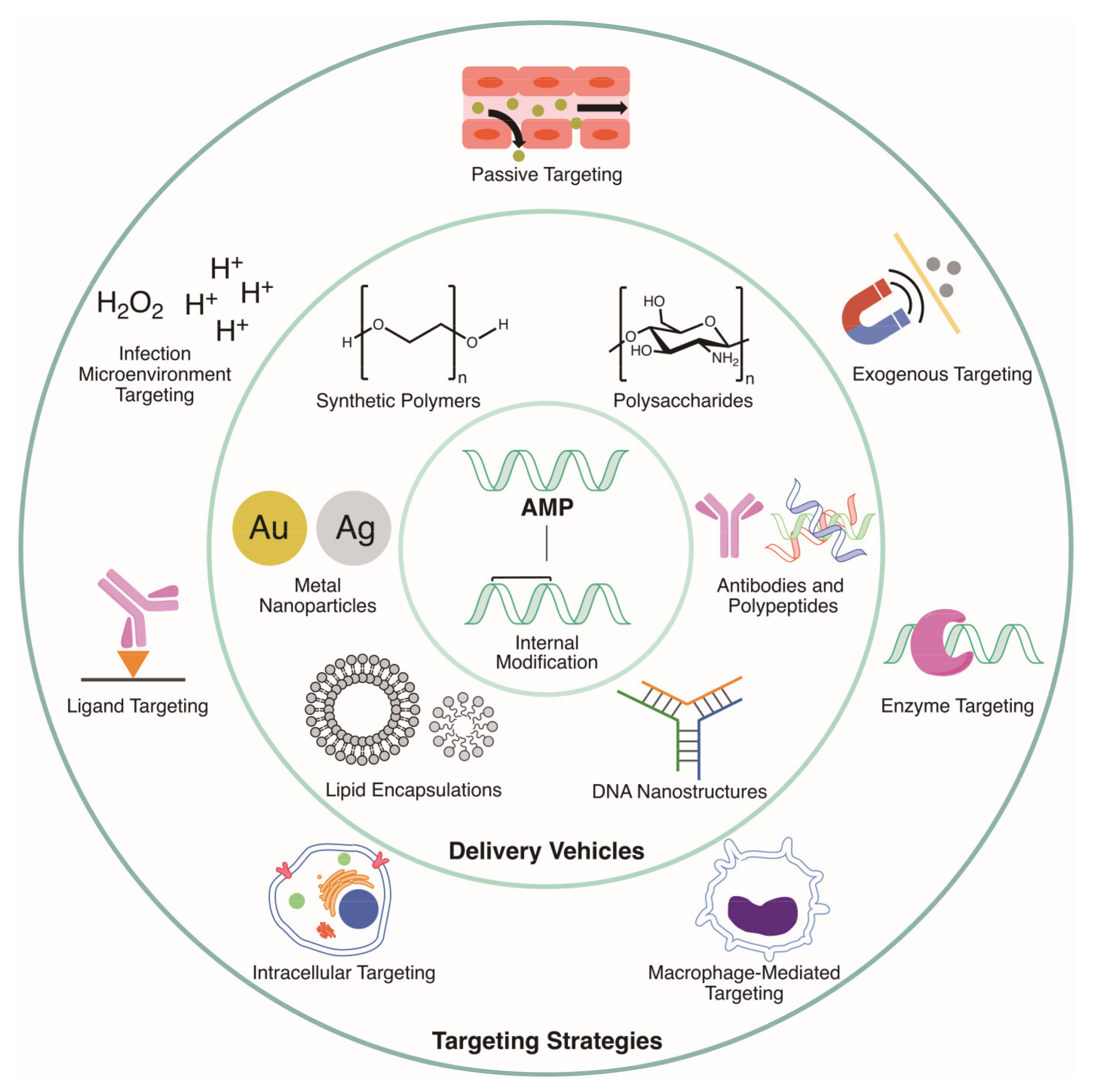 Molecules 25 03048 g001 Molecules 25 03048 g001