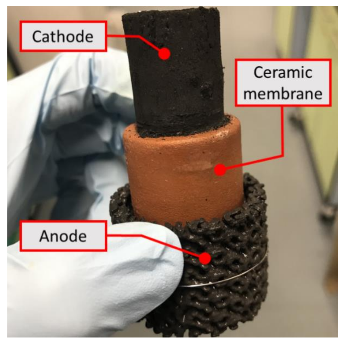 Molecules 25 03051 g005 Molecules 25 03051 g005