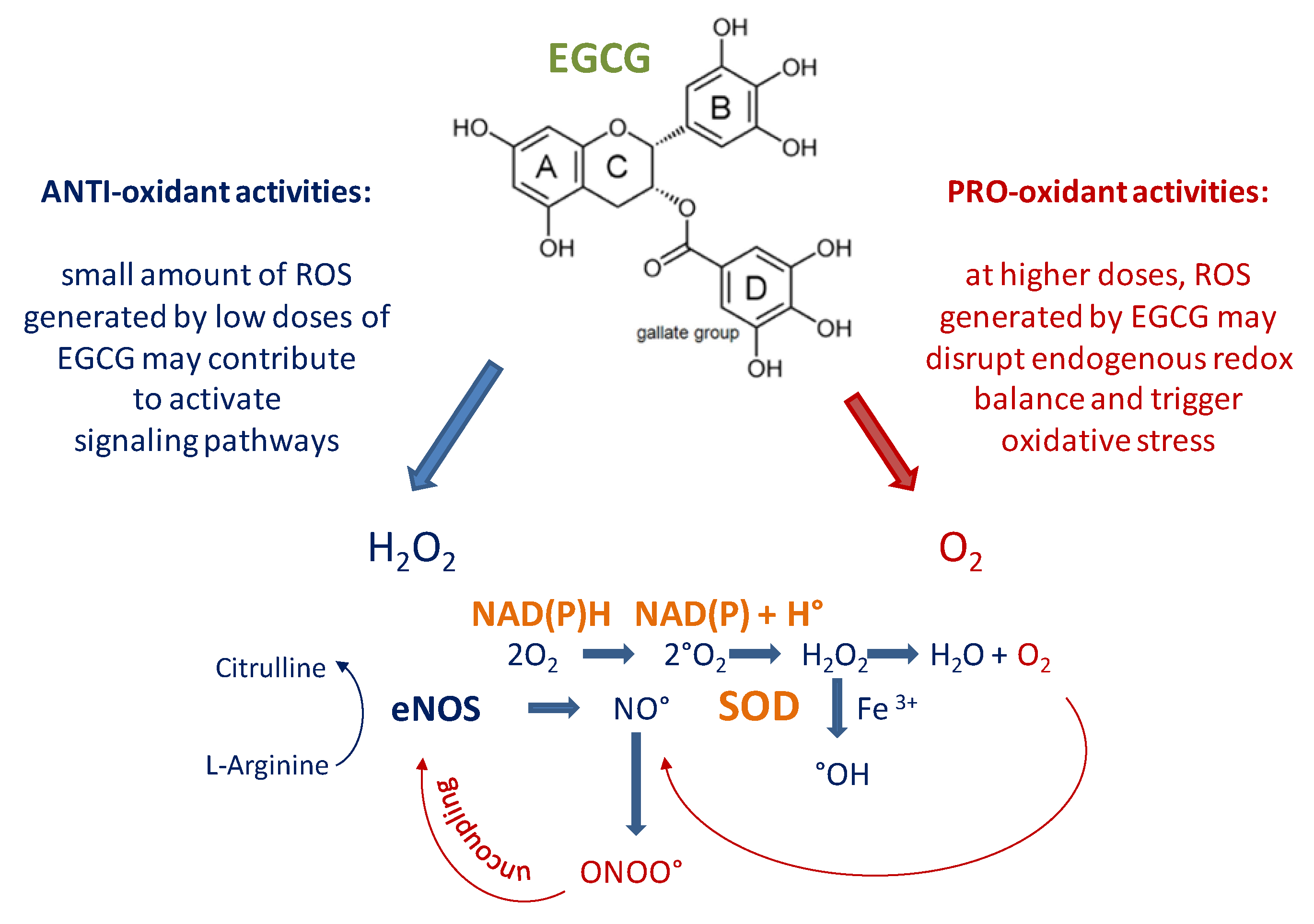 Molecules 25 03061 g001 Molecules 25 03061 g001