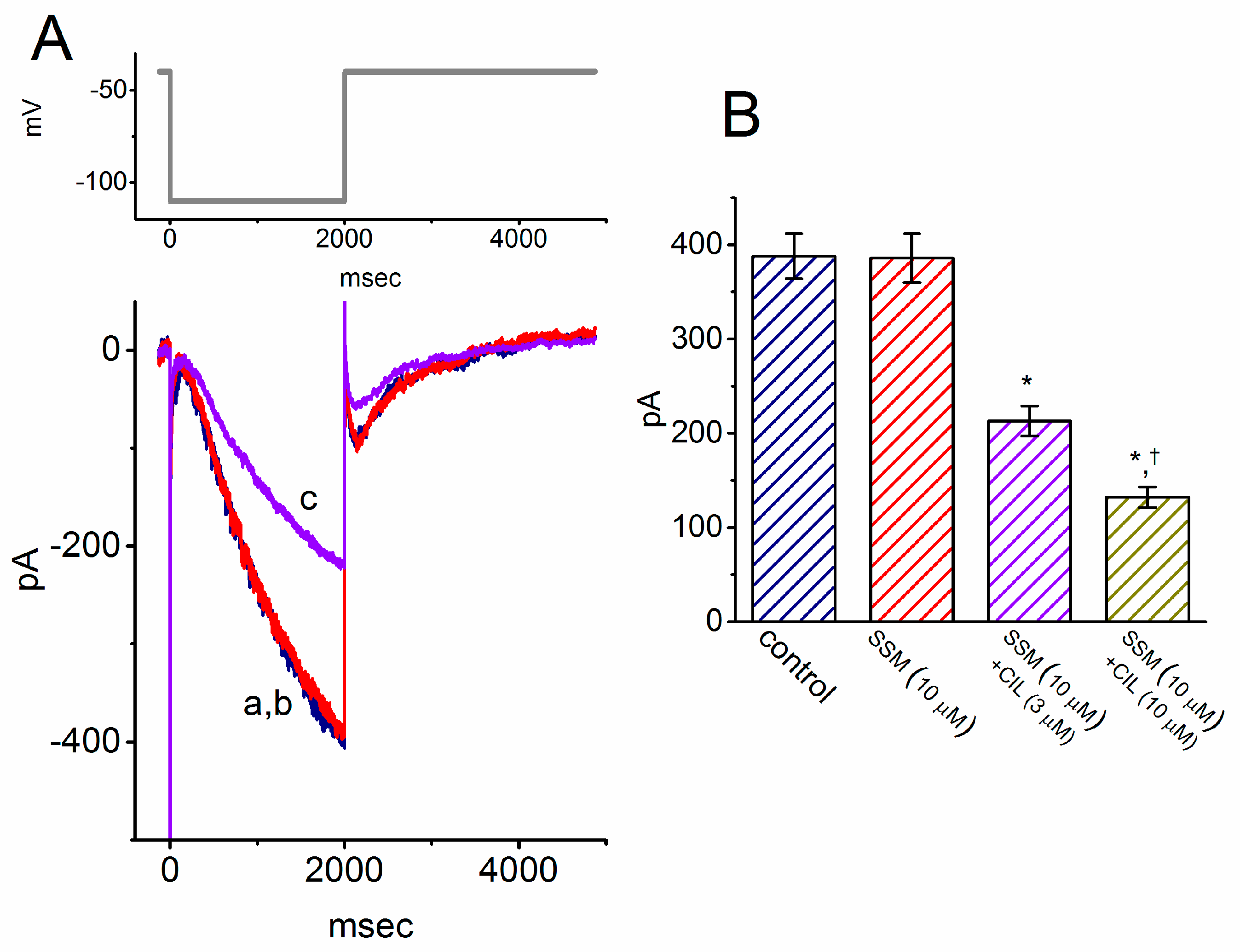 Molecules 25 03062 g008