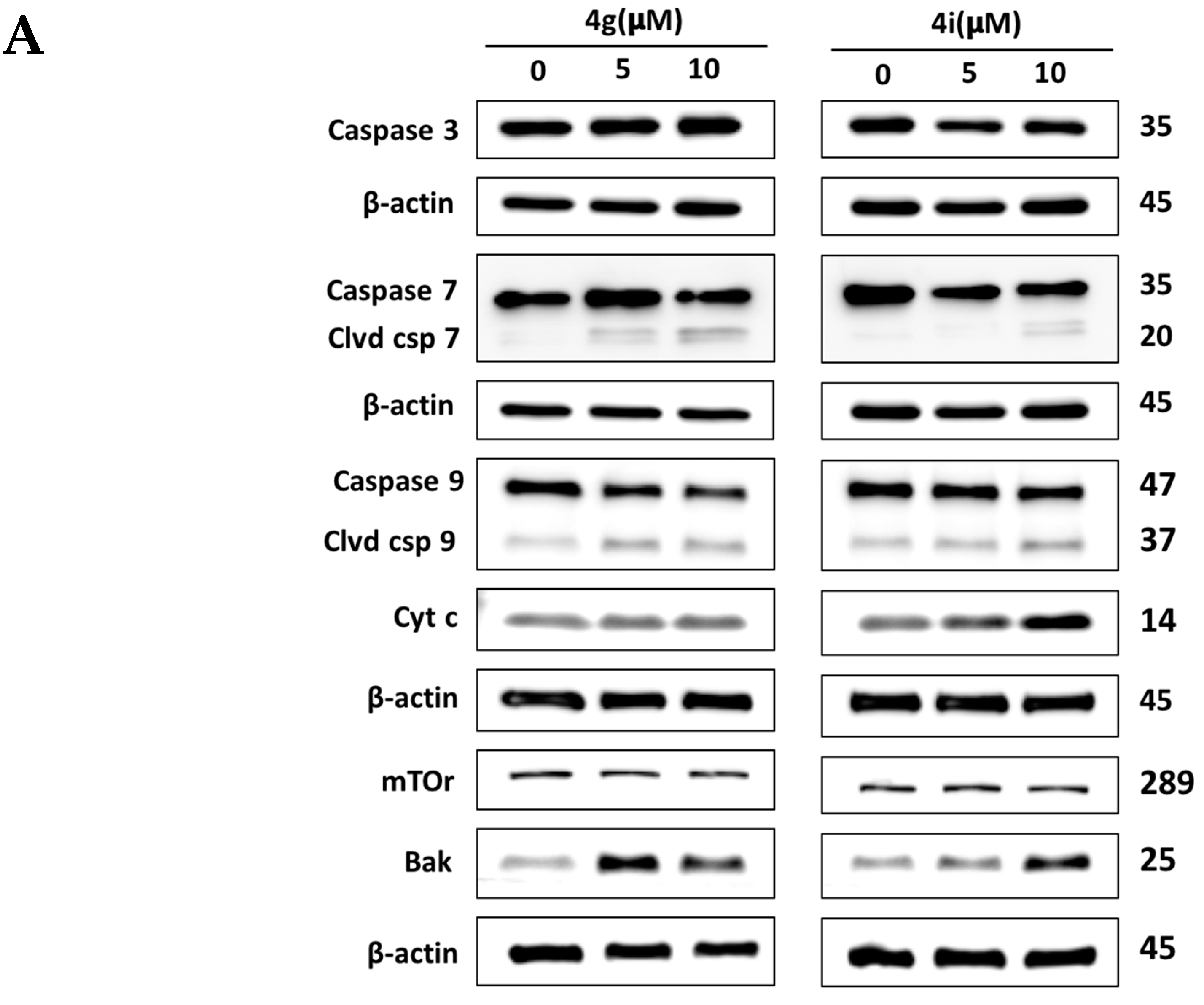 Molecules 25 03063 g004a