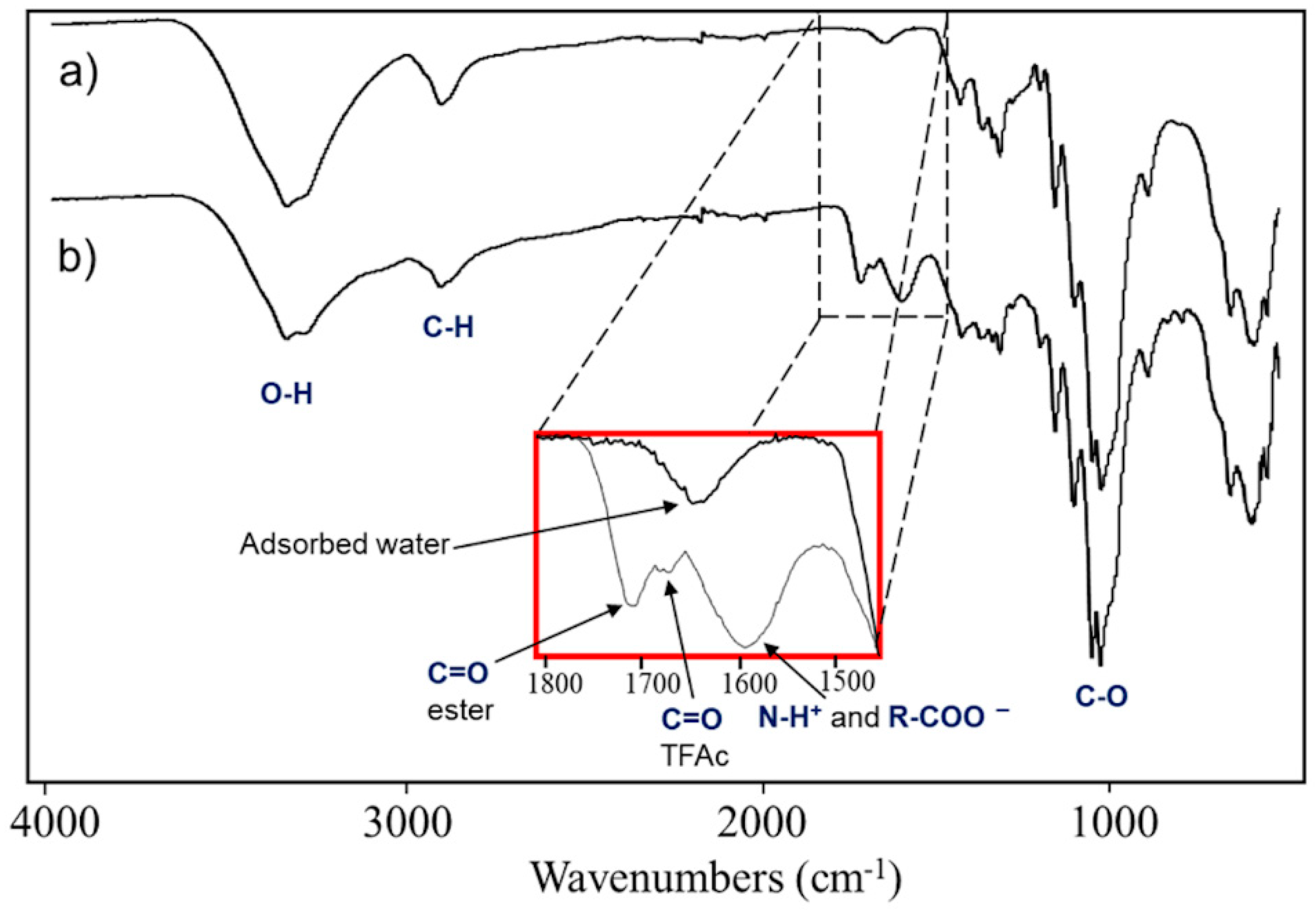 Molecules 25 03065 g001