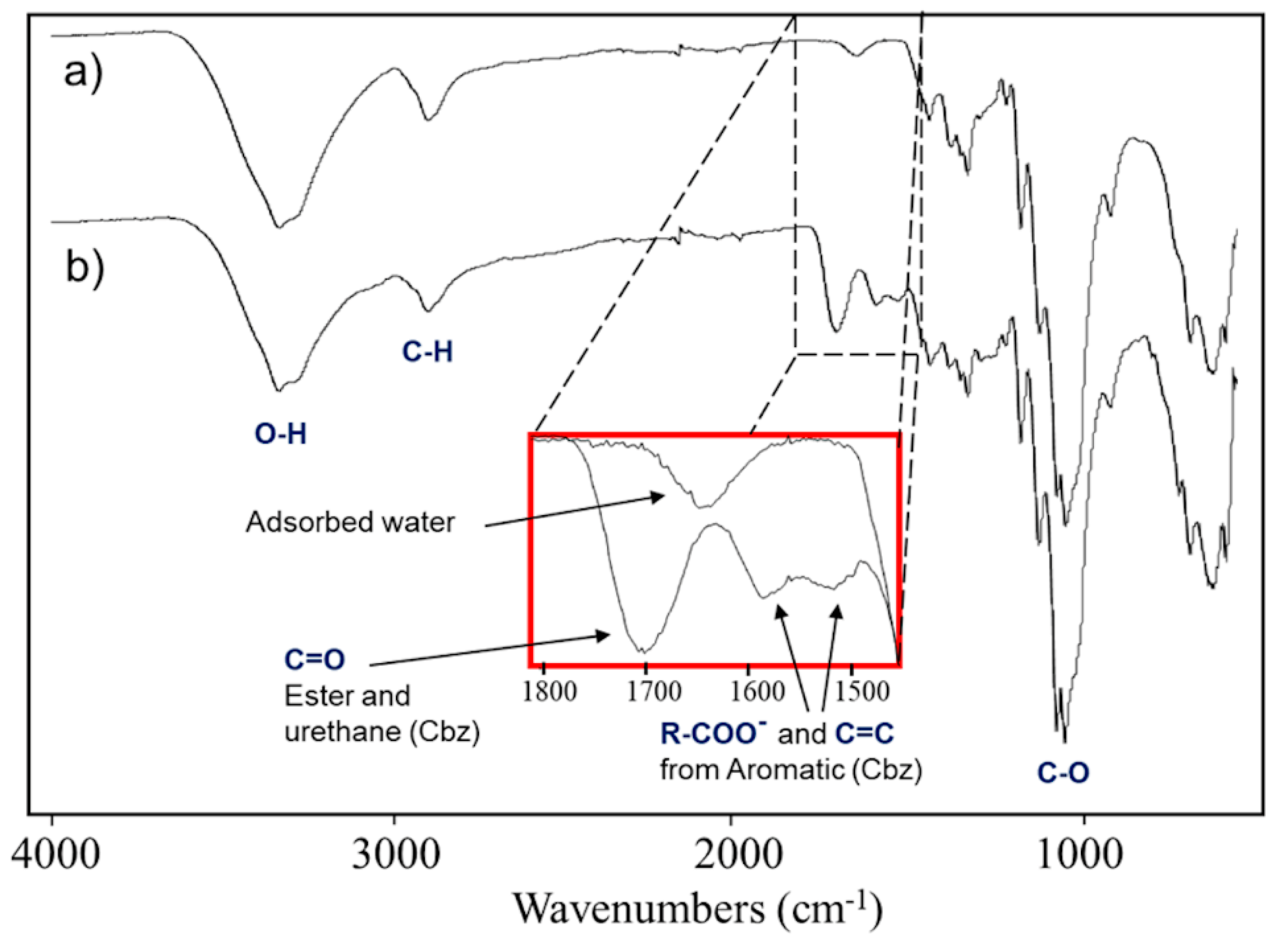 Molecules 25 03065 g002