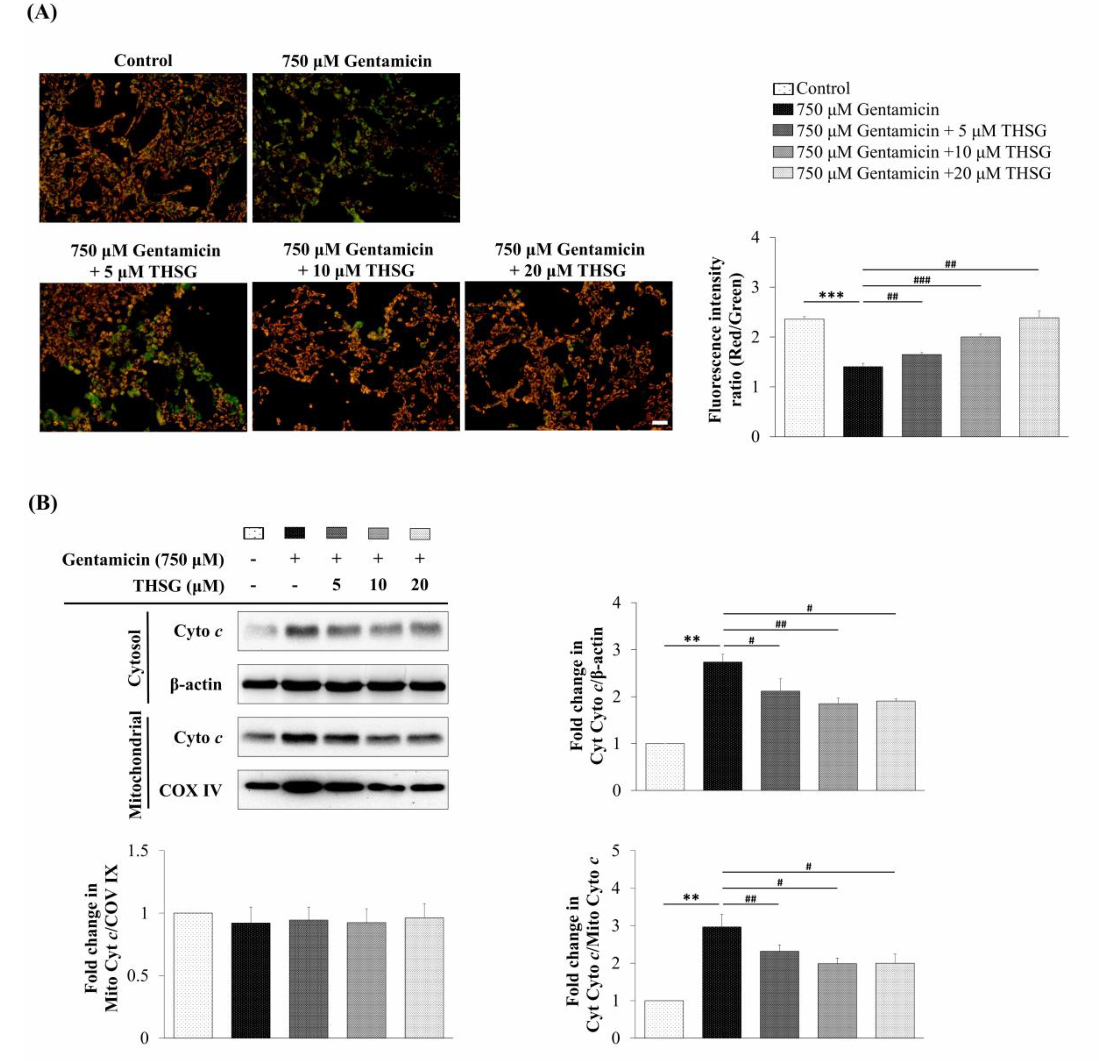 Molecules 25 03070 g003 Molecules 25 03070 g003