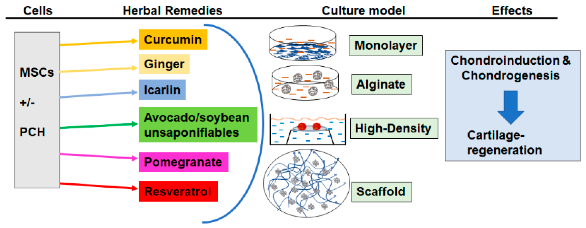 Molecules 25 03075 g002
