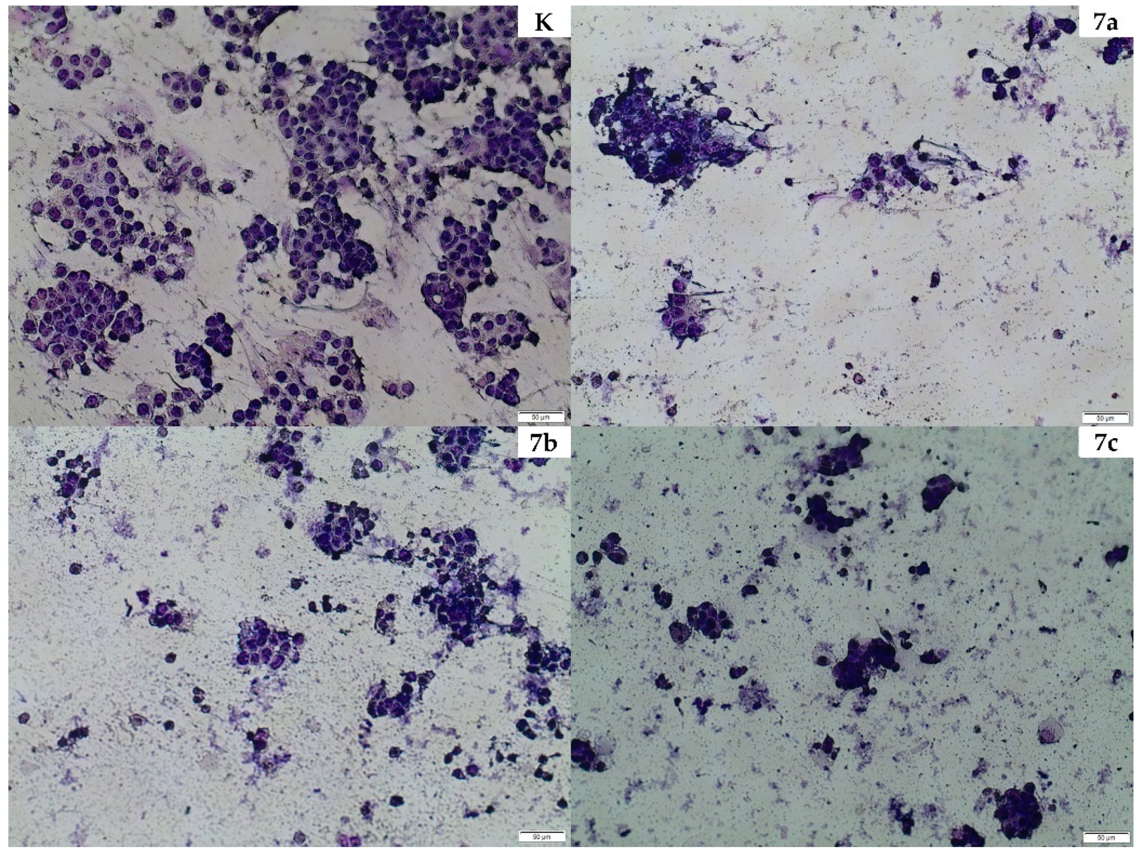 Molecules 25 03080 g004 Molecules 25 03080 g004