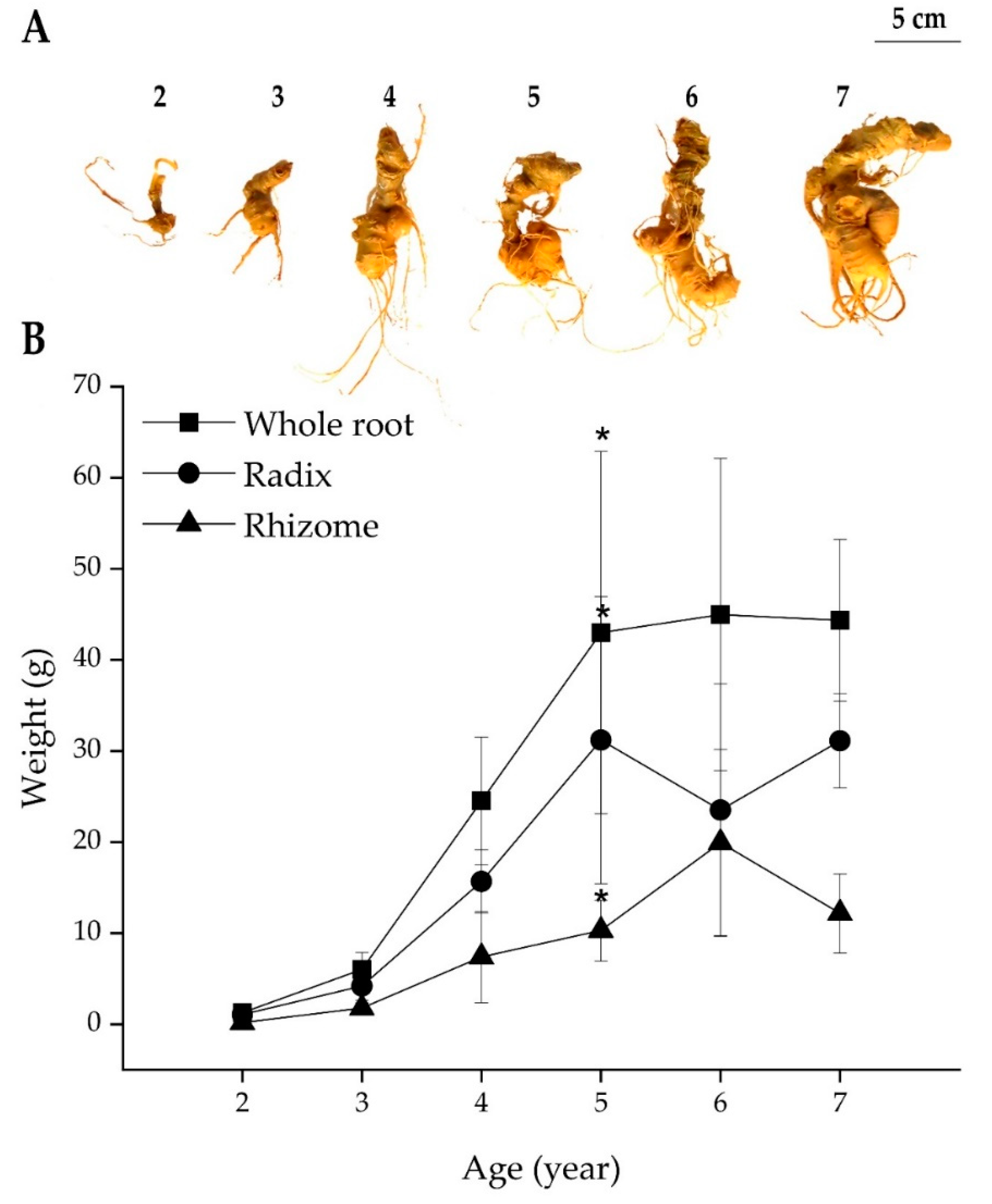 Molecules 25 03086 g004