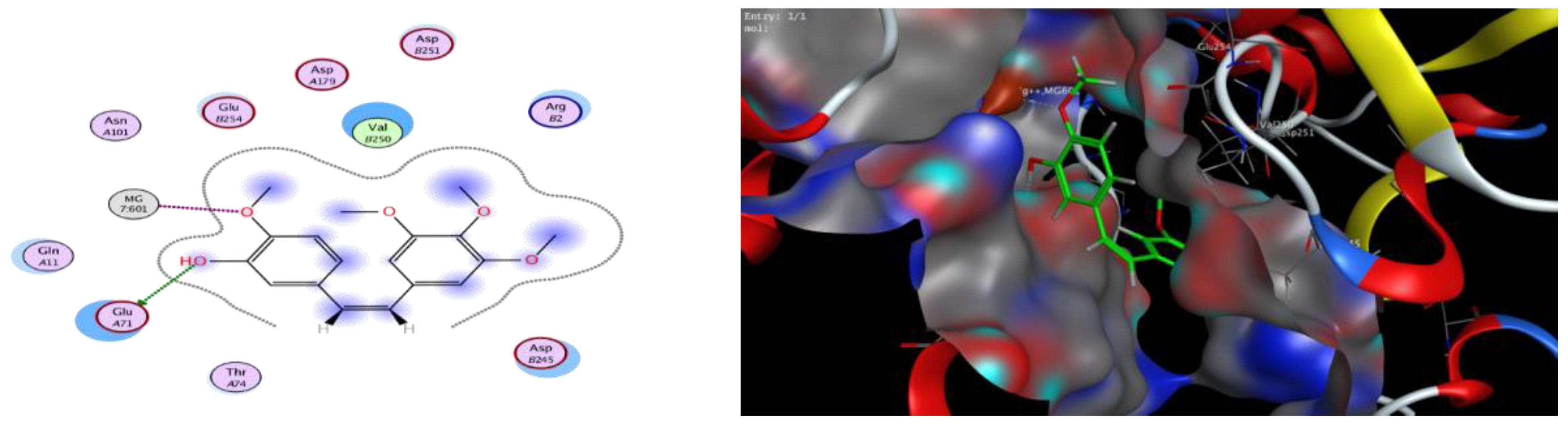 Molecules 25 03089 g015 Molecules 25 03089 g015