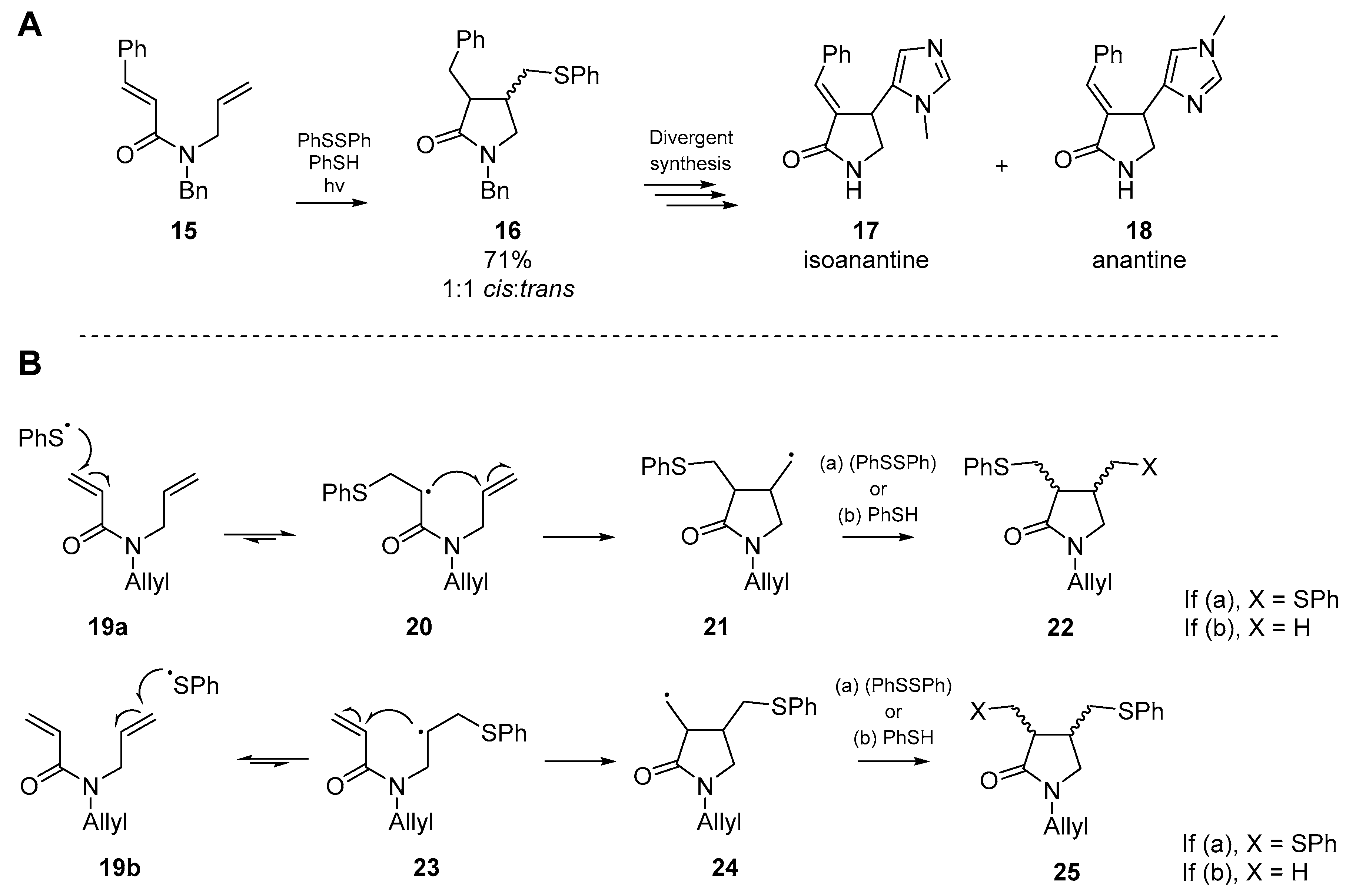 Molecules 25 03094 sch004 Molecules 25 03094 sch004