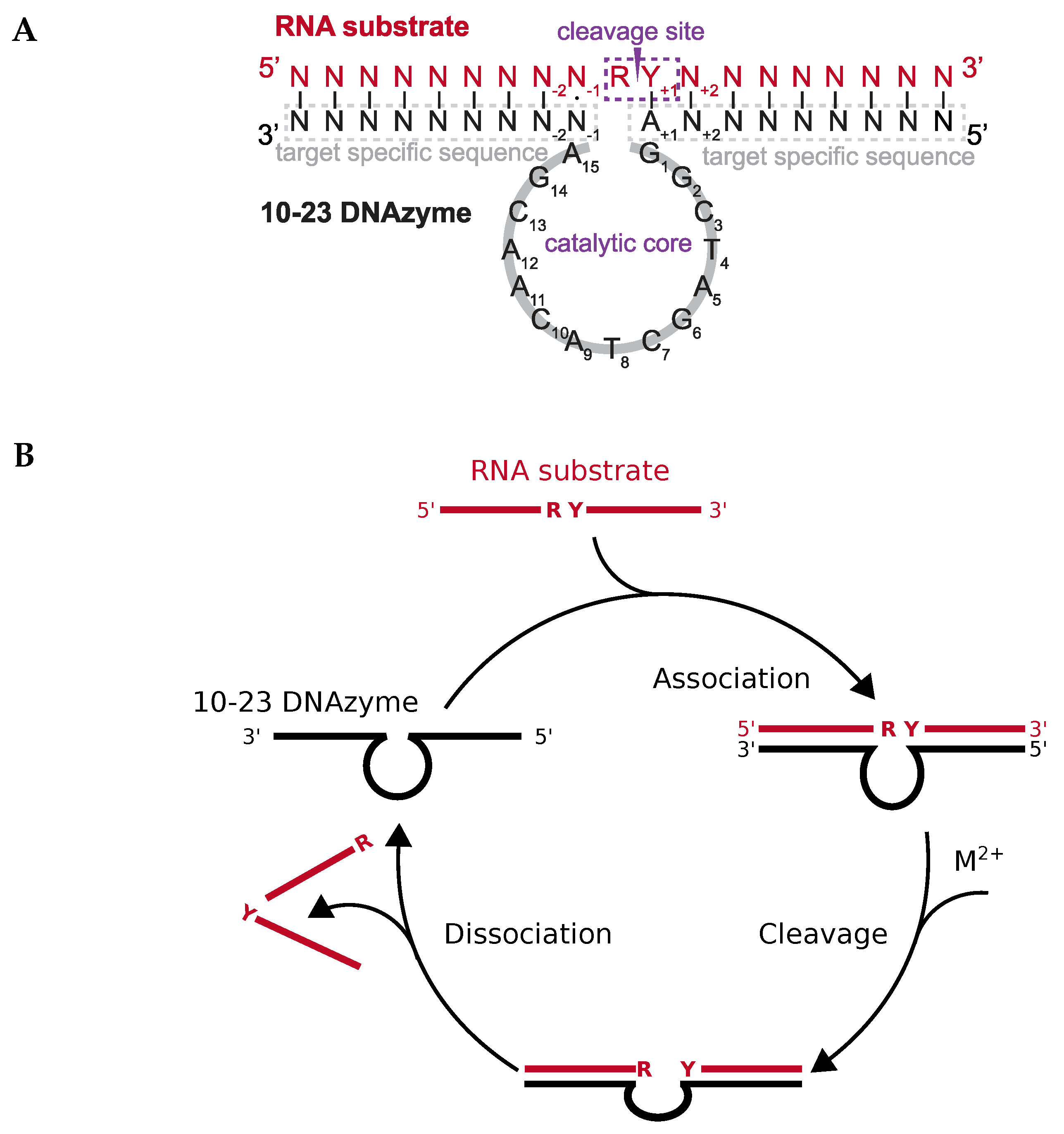 Molecules 25 03100 g001 Molecules 25 03100 g001