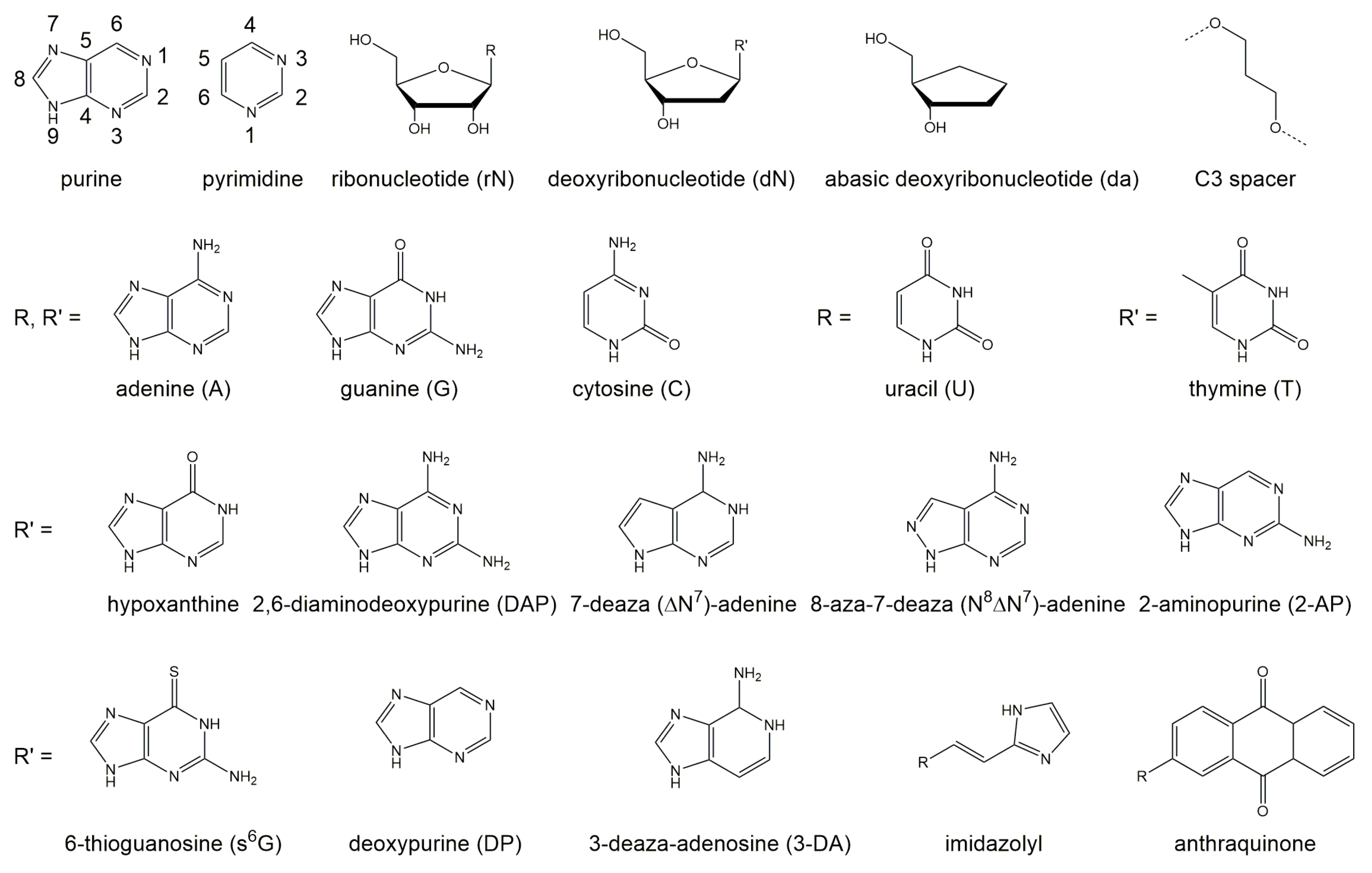 Molecules 25 03100 g003 Molecules 25 03100 g003