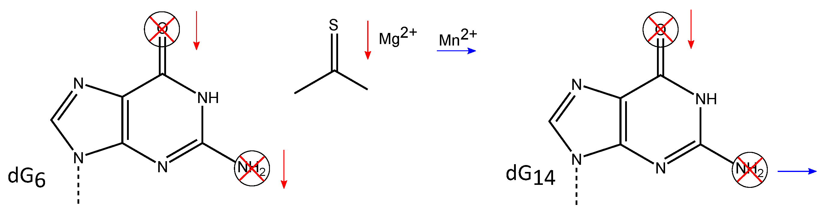Molecules 25 03100 g005 Molecules 25 03100 g005
