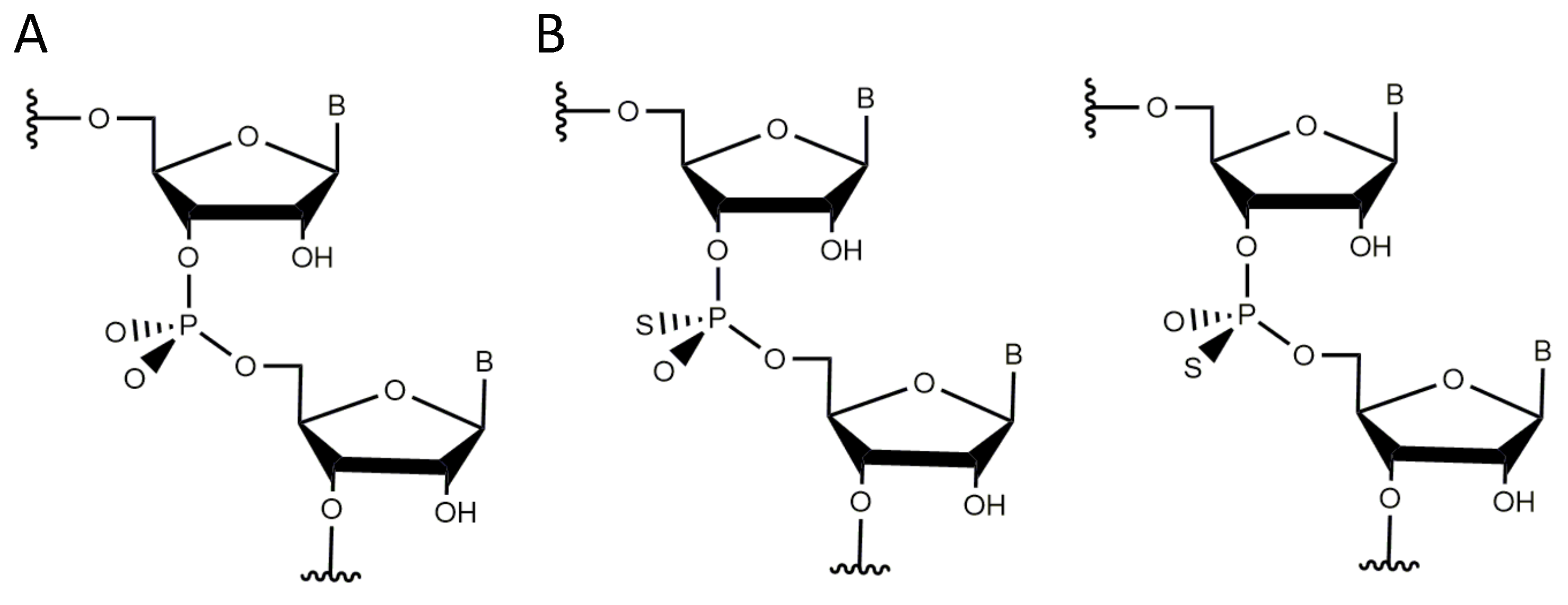 Molecules 25 03100 g006 Molecules 25 03100 g006