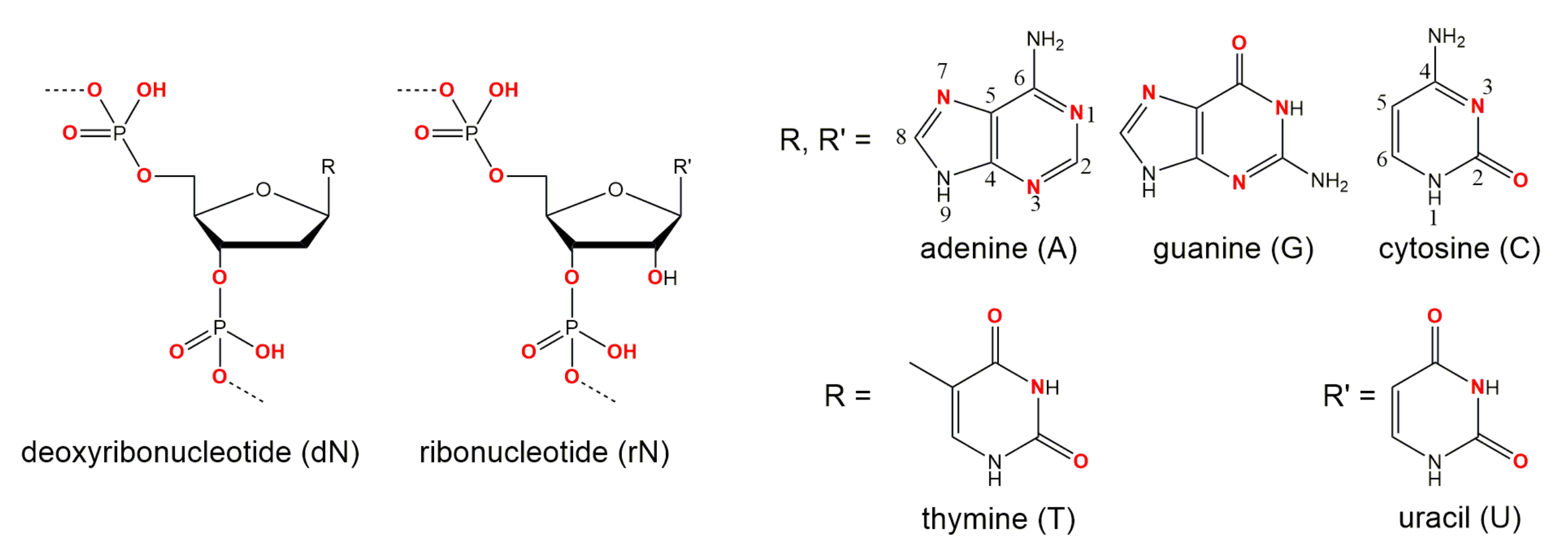 Molecules 25 03100 g007 Molecules 25 03100 g007