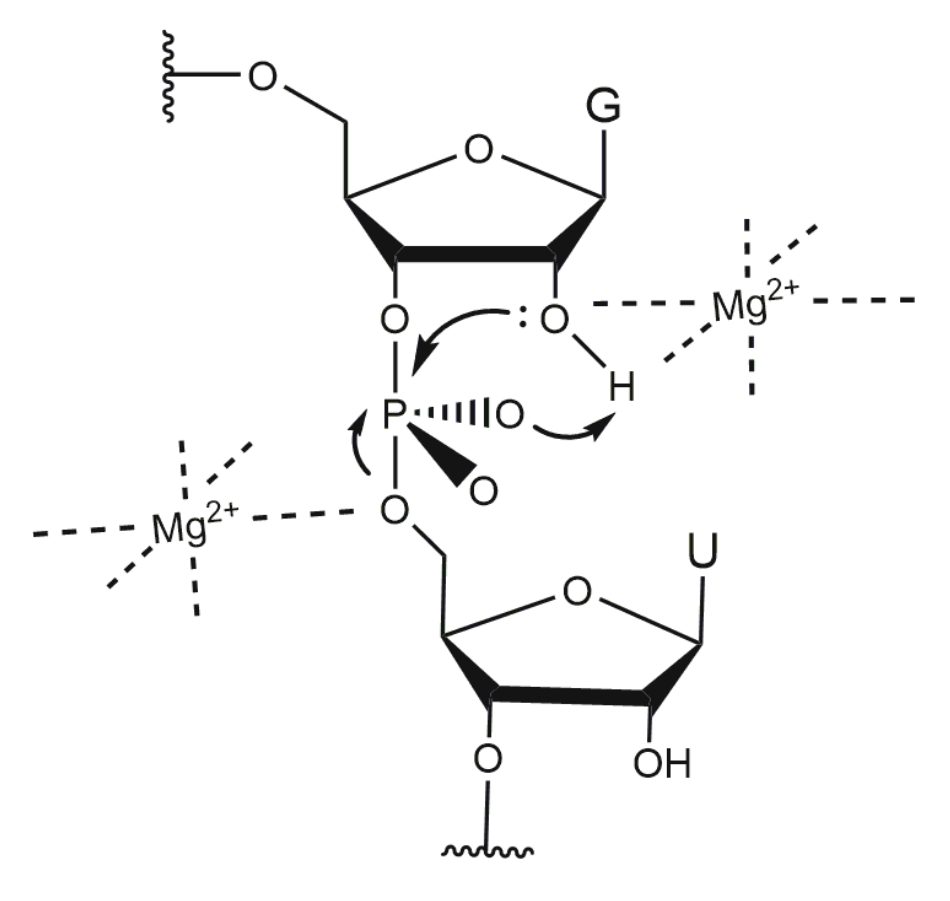 Molecules 25 03100 g008 Molecules 25 03100 g008
