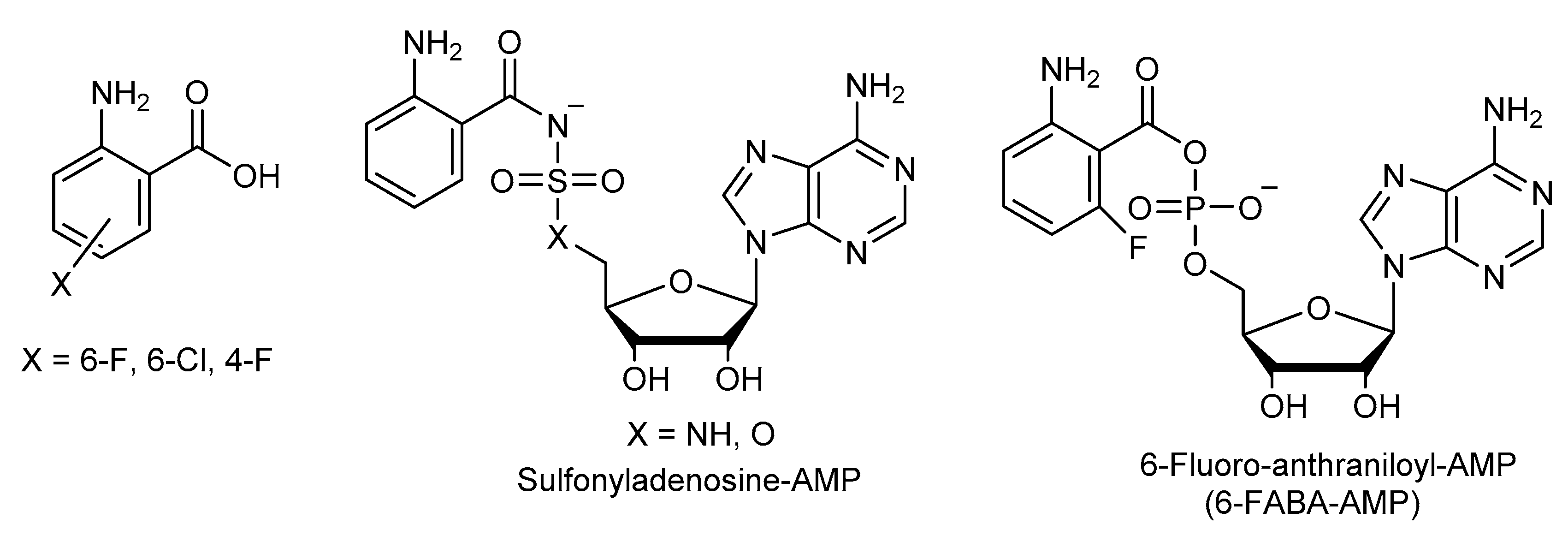 Molecules 25 03103 g003