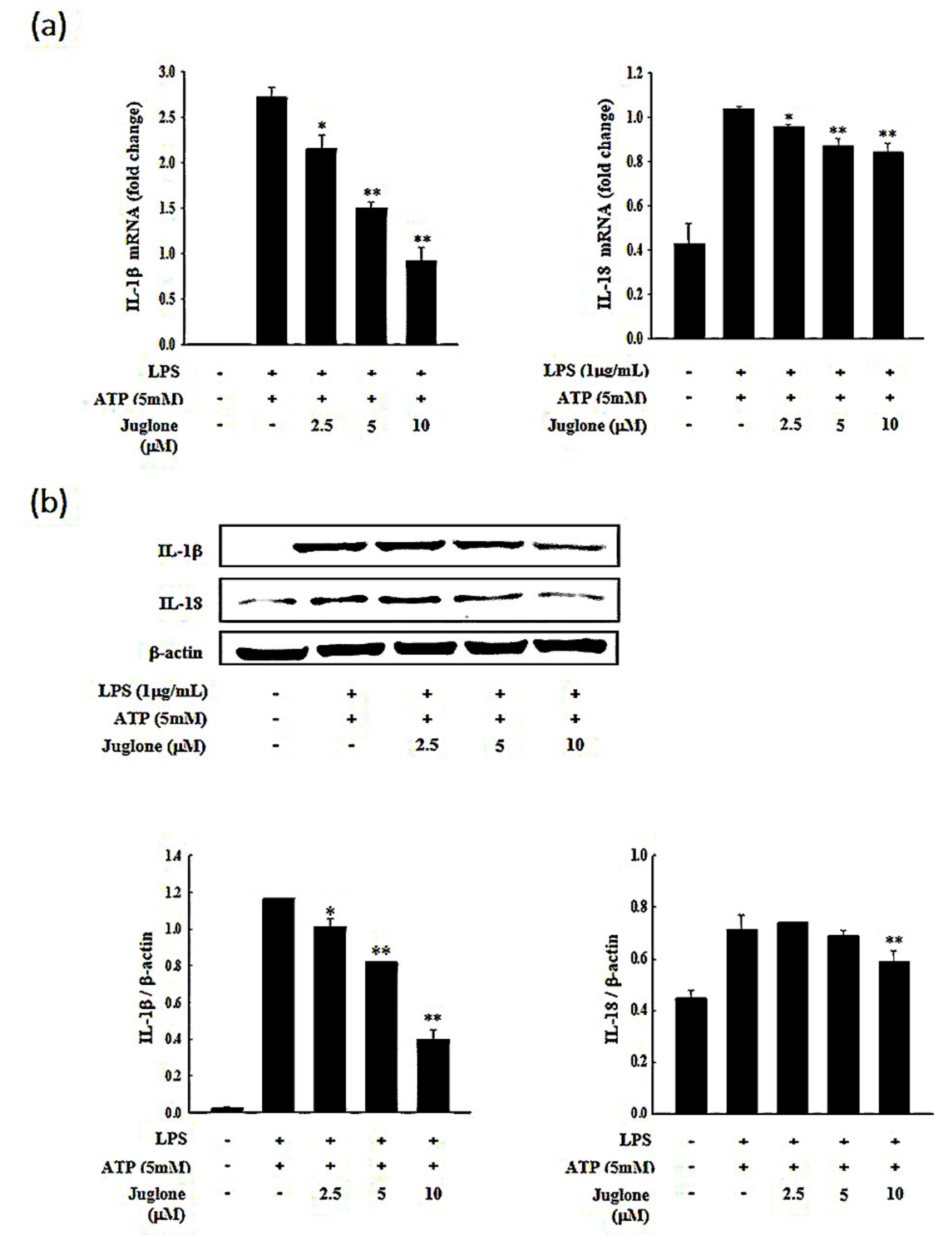 Molecules 25 03104 g003 Molecules 25 03104 g003