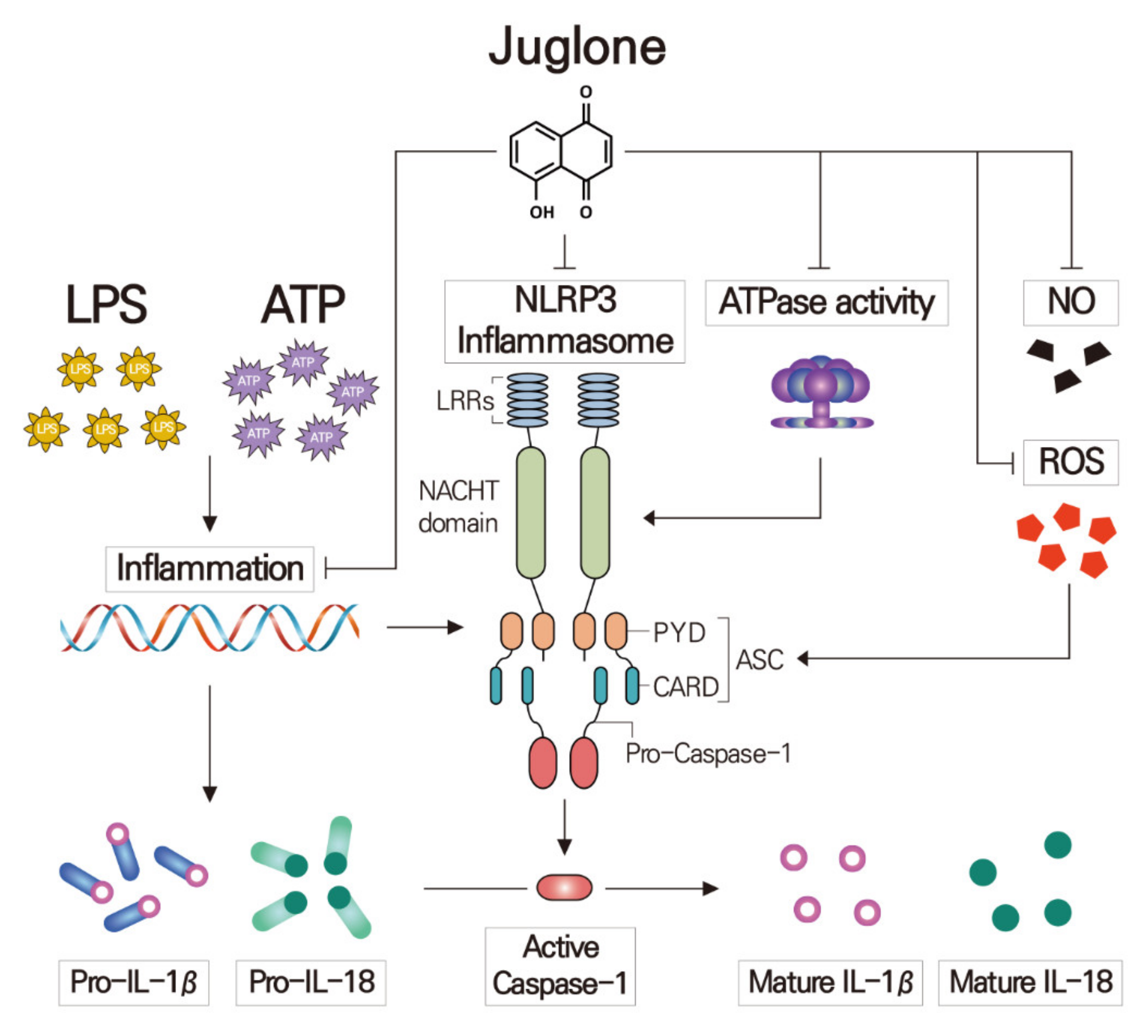 Molecules 25 03104 g006 Molecules 25 03104 g006