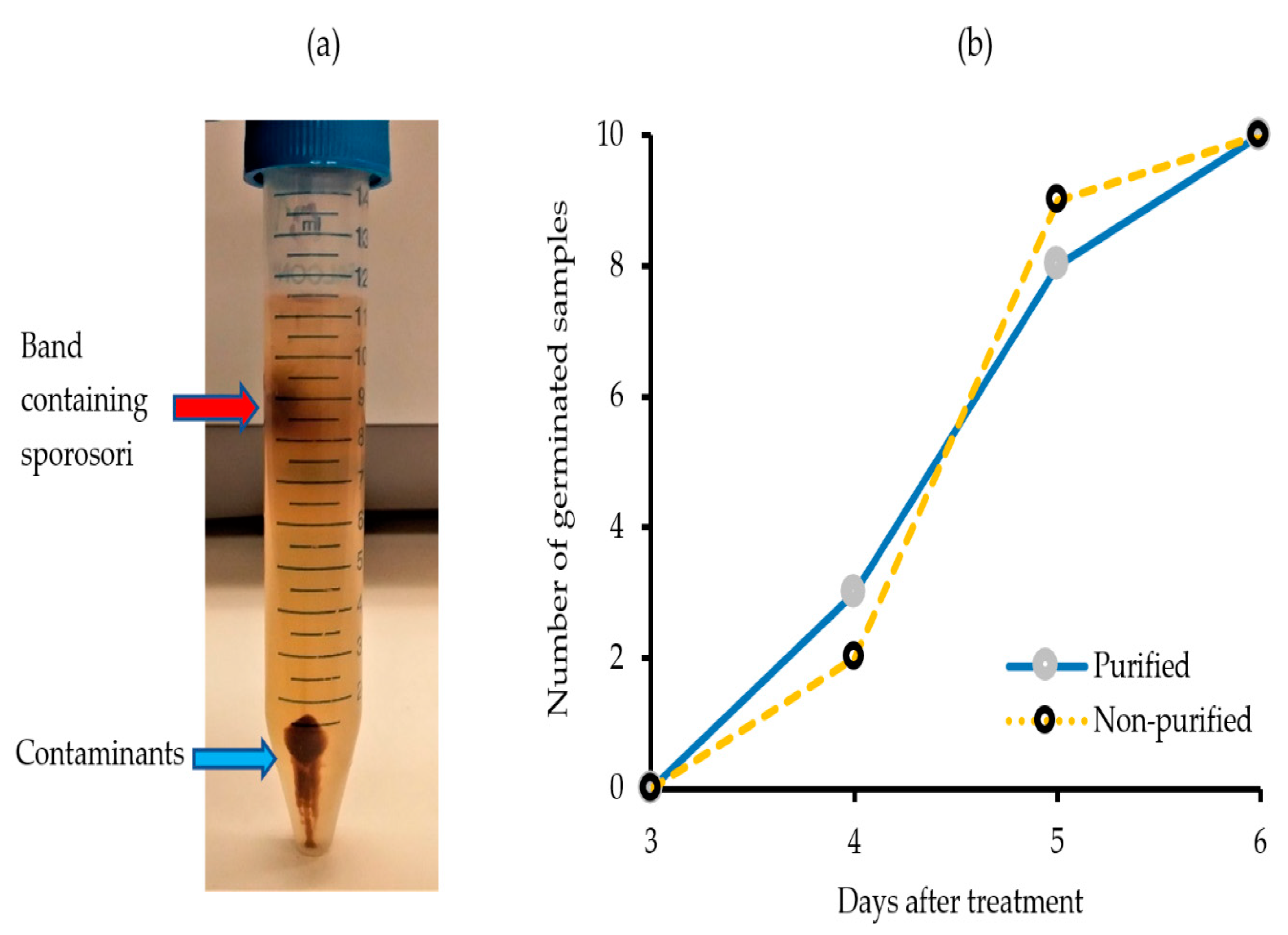 Molecules 25 03109 g001 Molecules 25 03109 g001