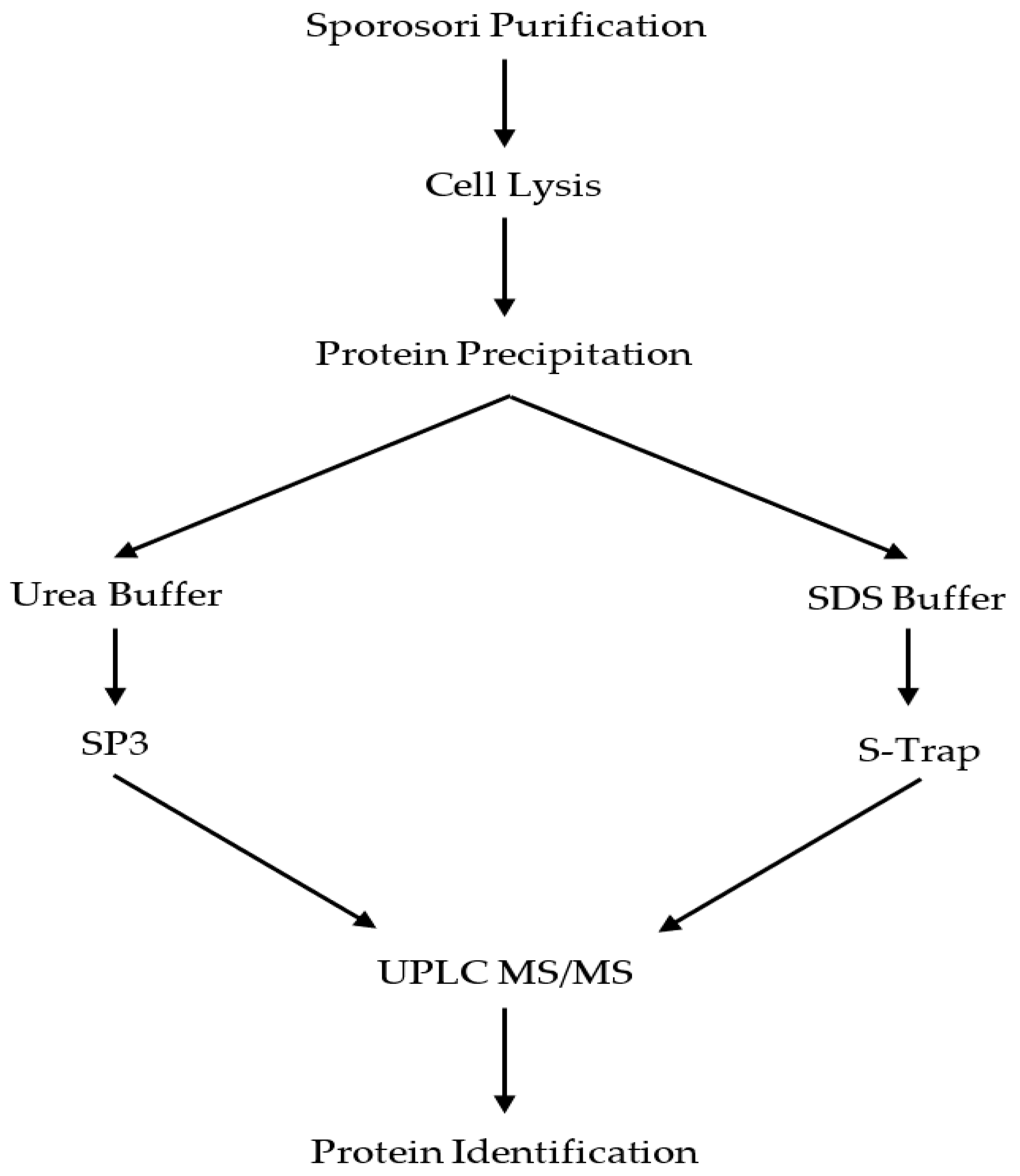 Molecules 25 03109 g006 Molecules 25 03109 g006