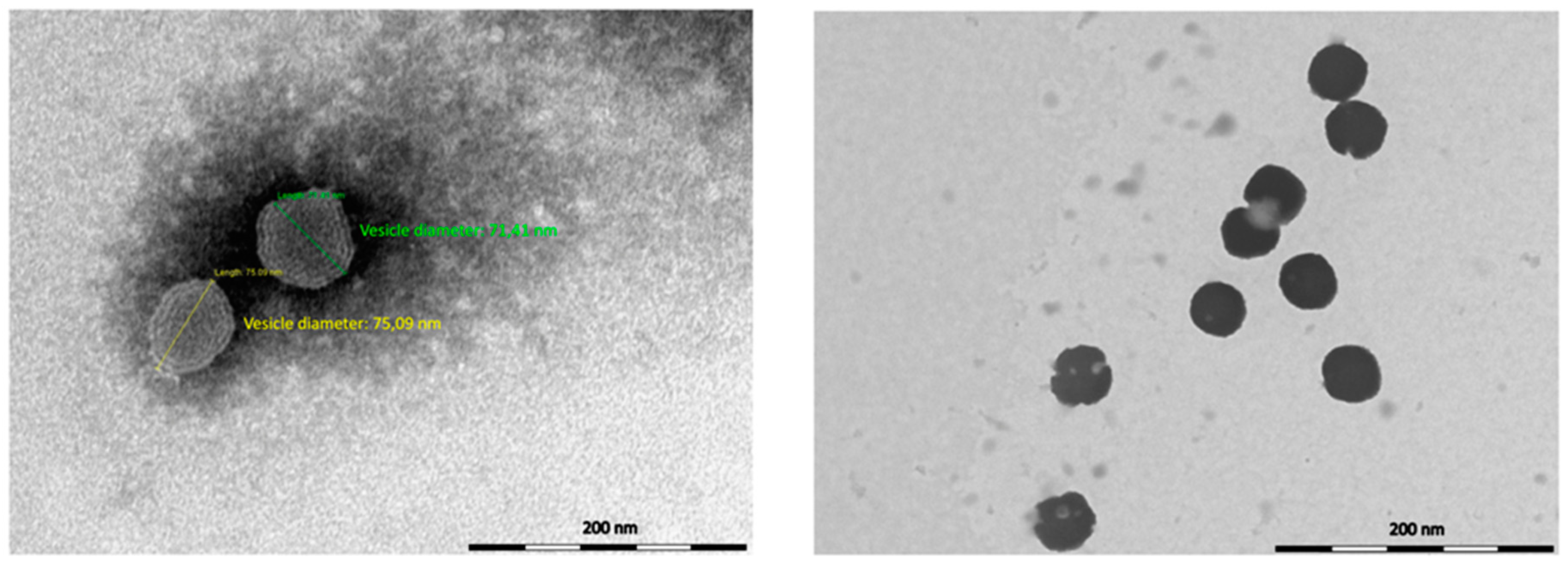 Molecules 25 03111 g001 Molecules 25 03111 g001