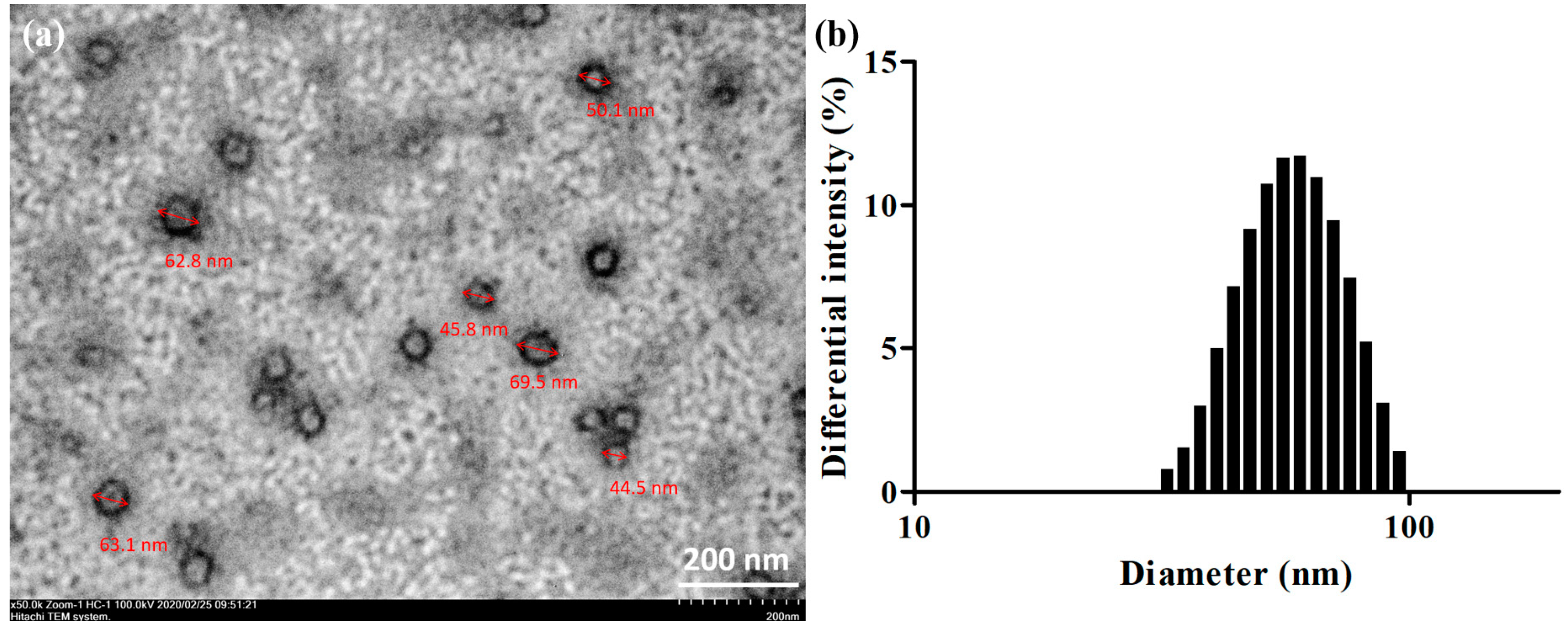 Molecules 25 03119 g003 Molecules 25 03119 g003