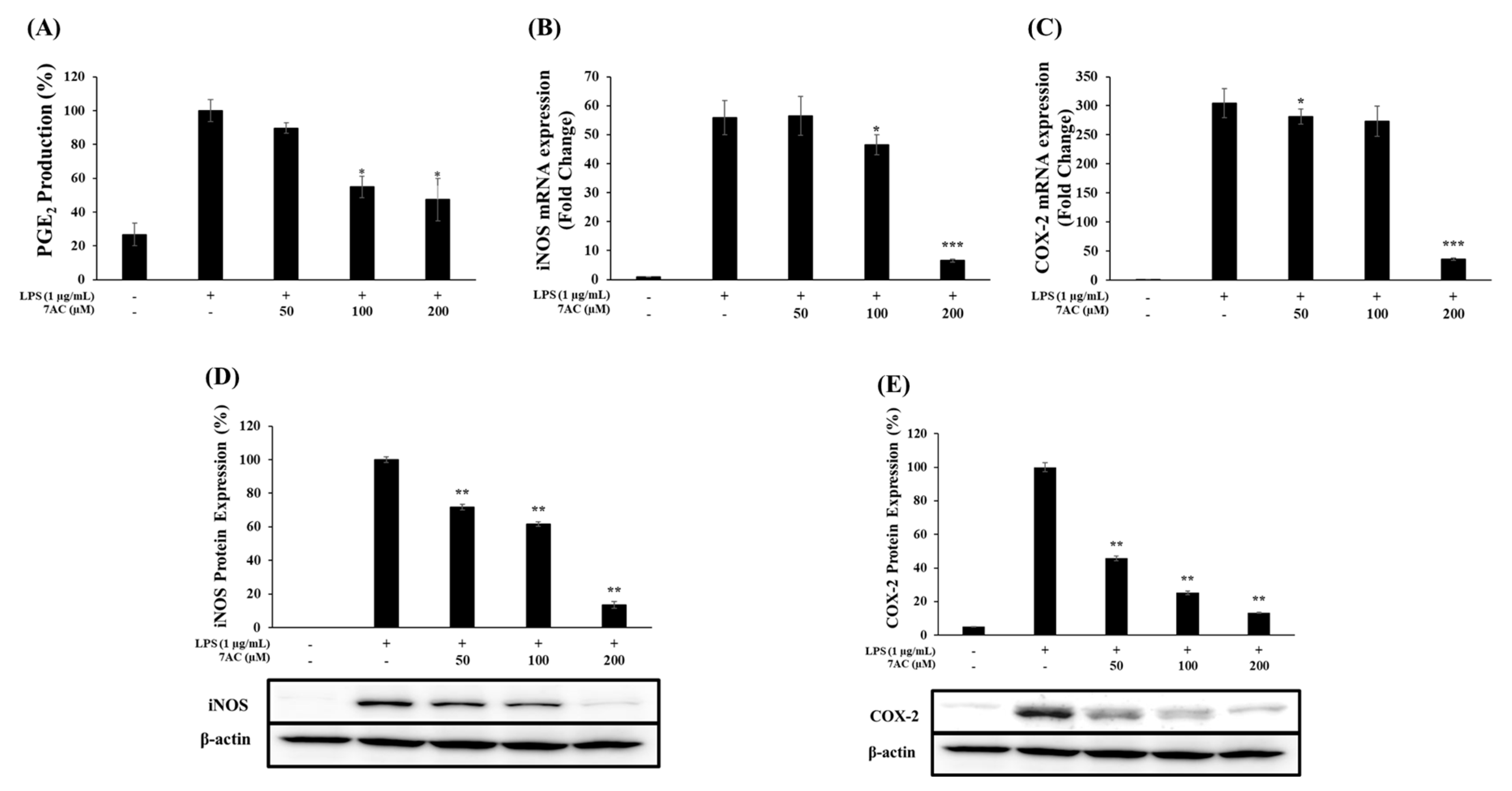 Molecules 25 03124 g004 Molecules 25 03124 g004