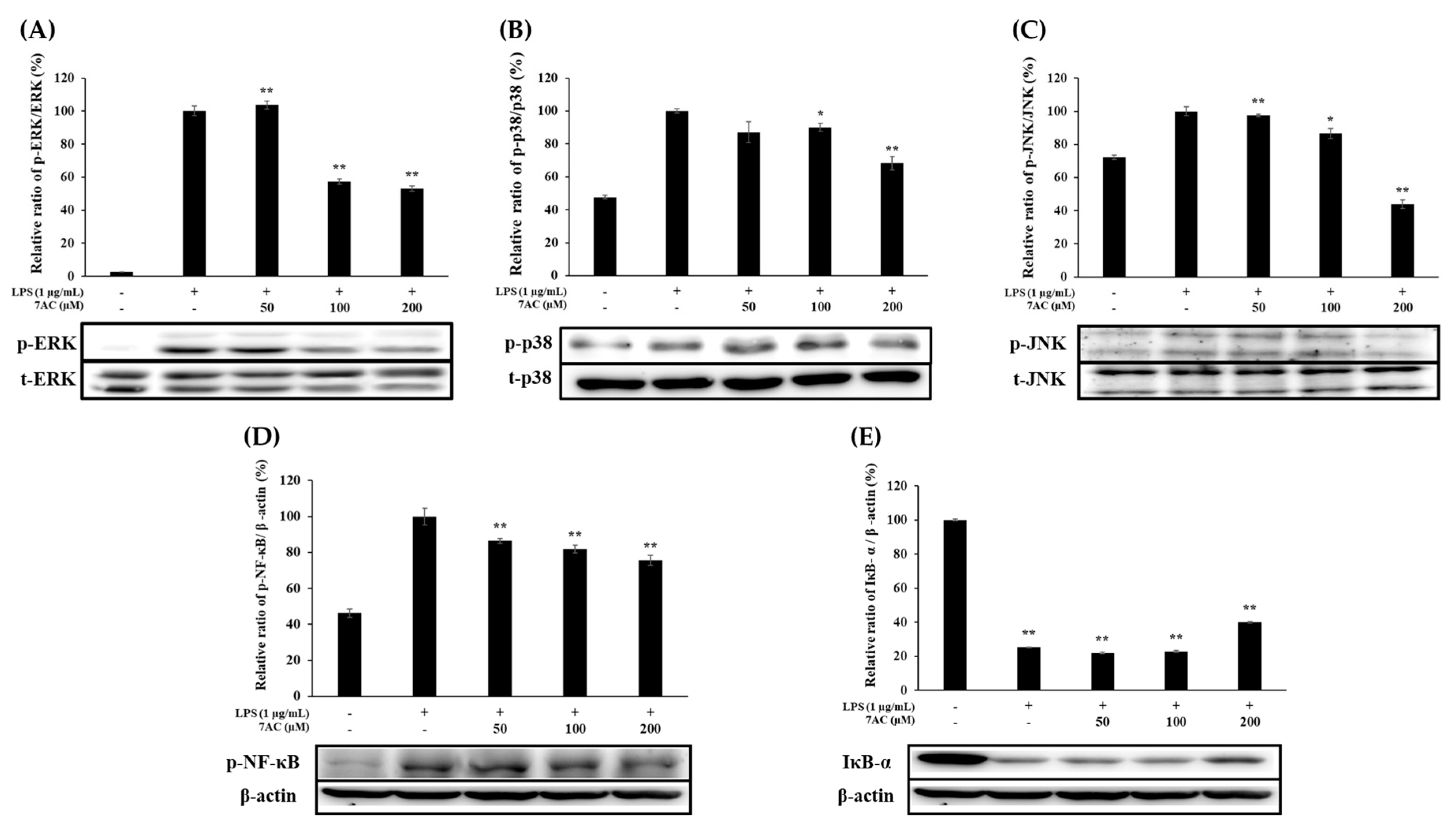 Molecules 25 03124 g005 Molecules 25 03124 g005
