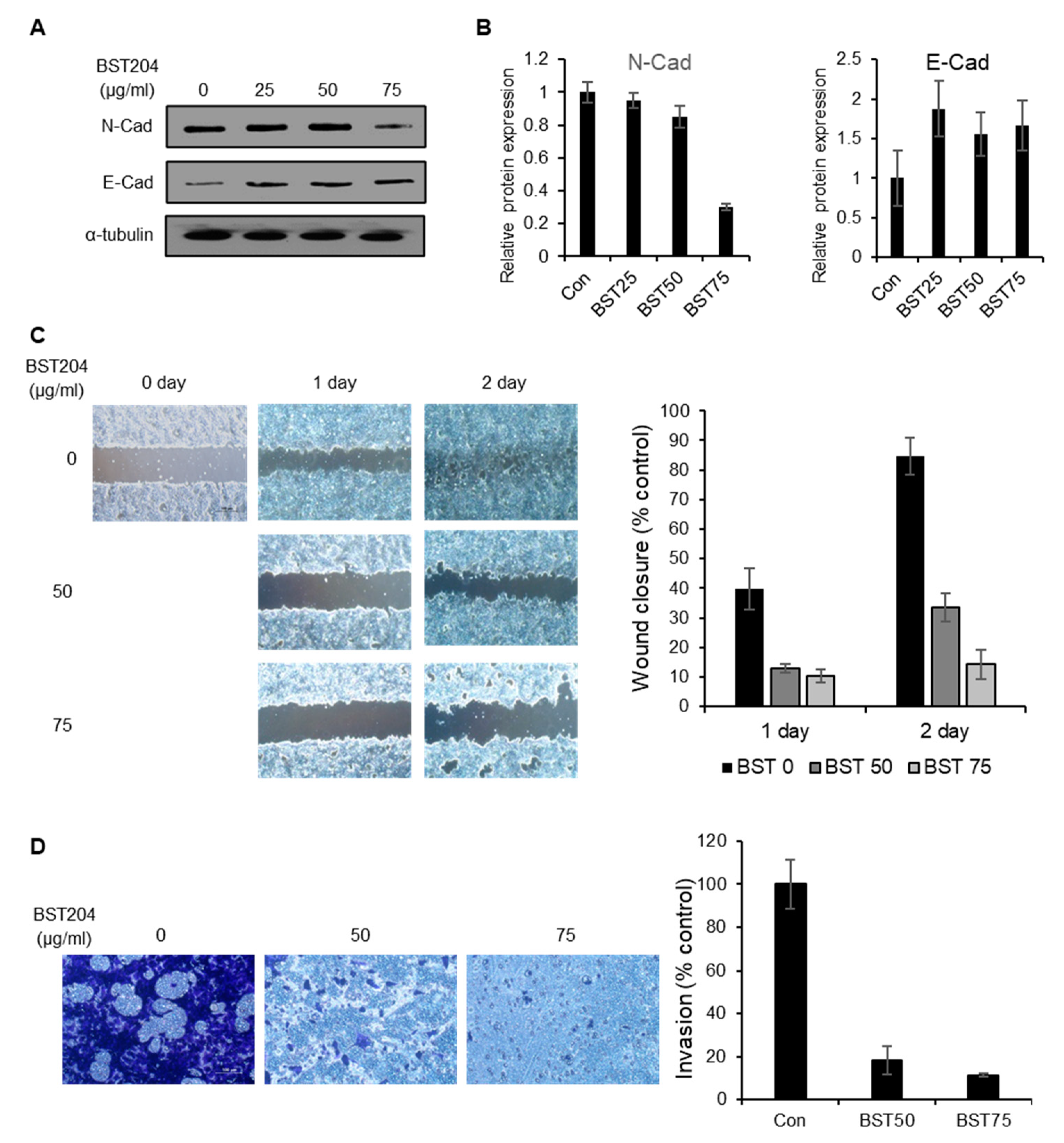 Molecules 25 03128 g004 Molecules 25 03128 g004