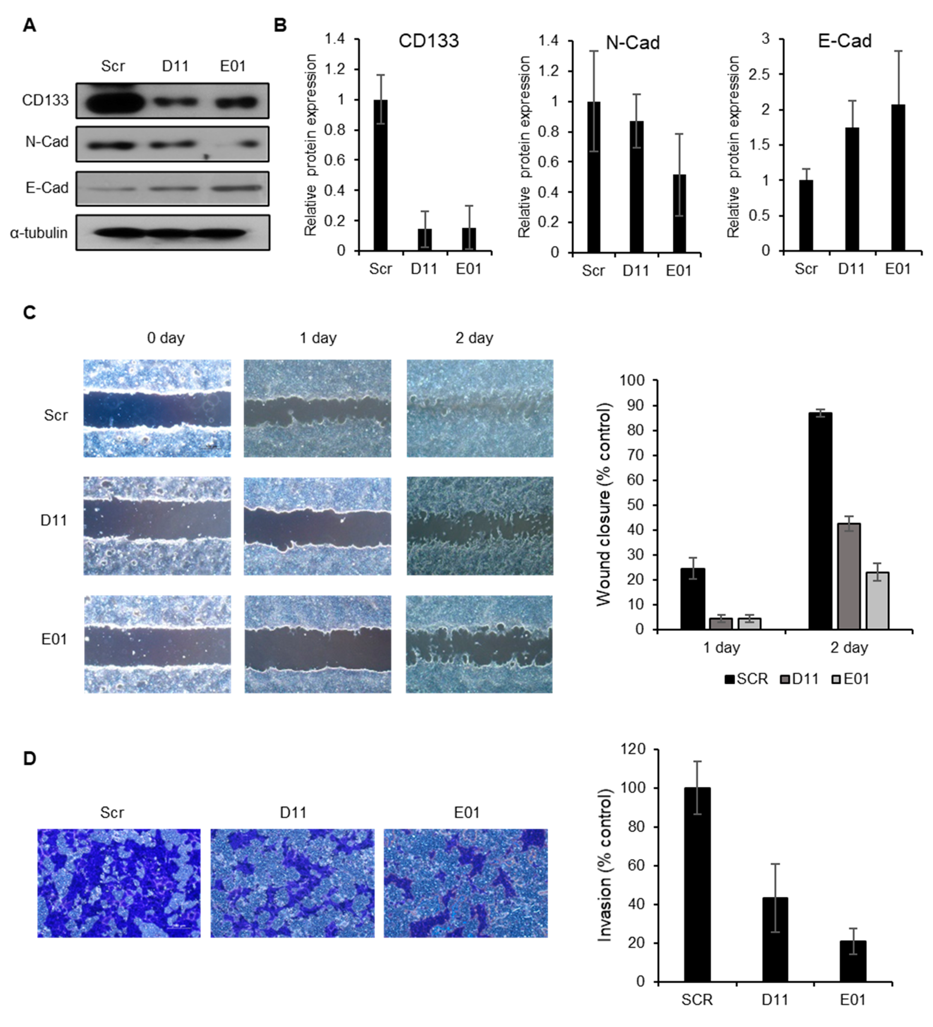 Molecules 25 03128 g005 Molecules 25 03128 g005