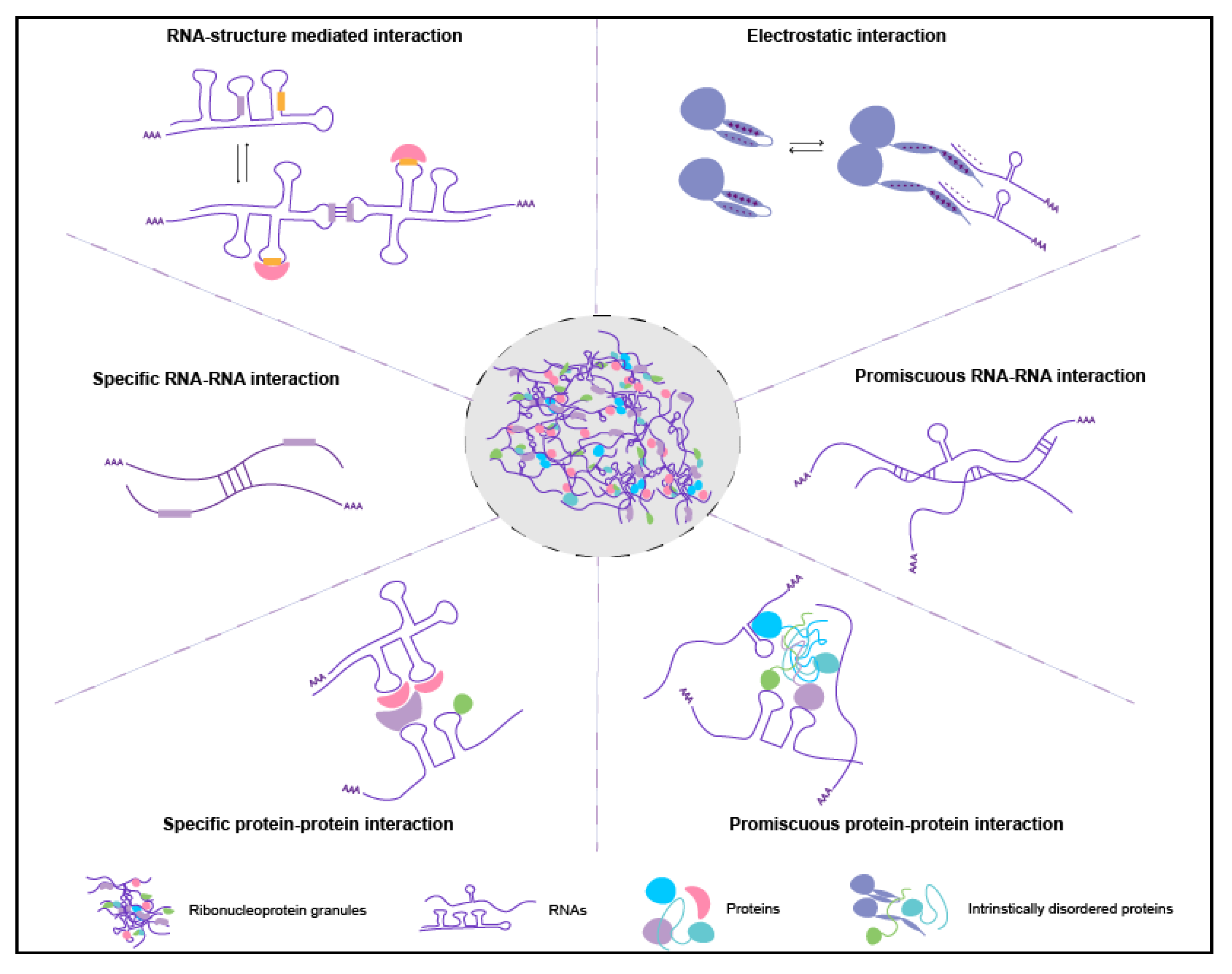 Molecules 25 03130 g002 Molecules 25 03130 g002