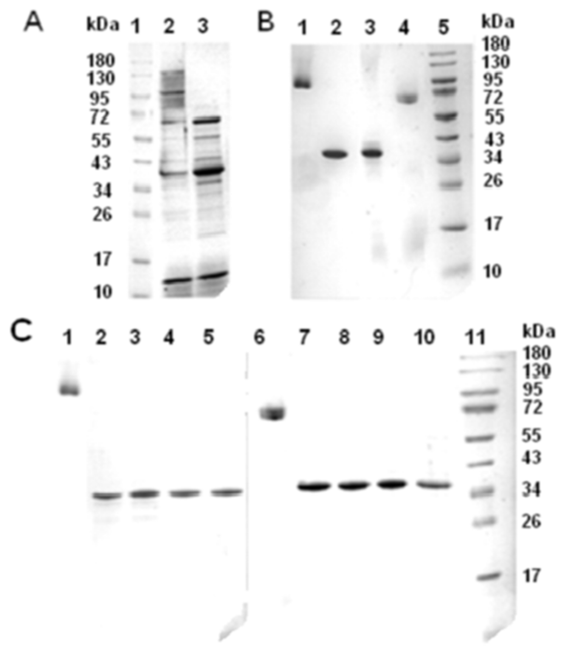 Molecules 25 03131 g001