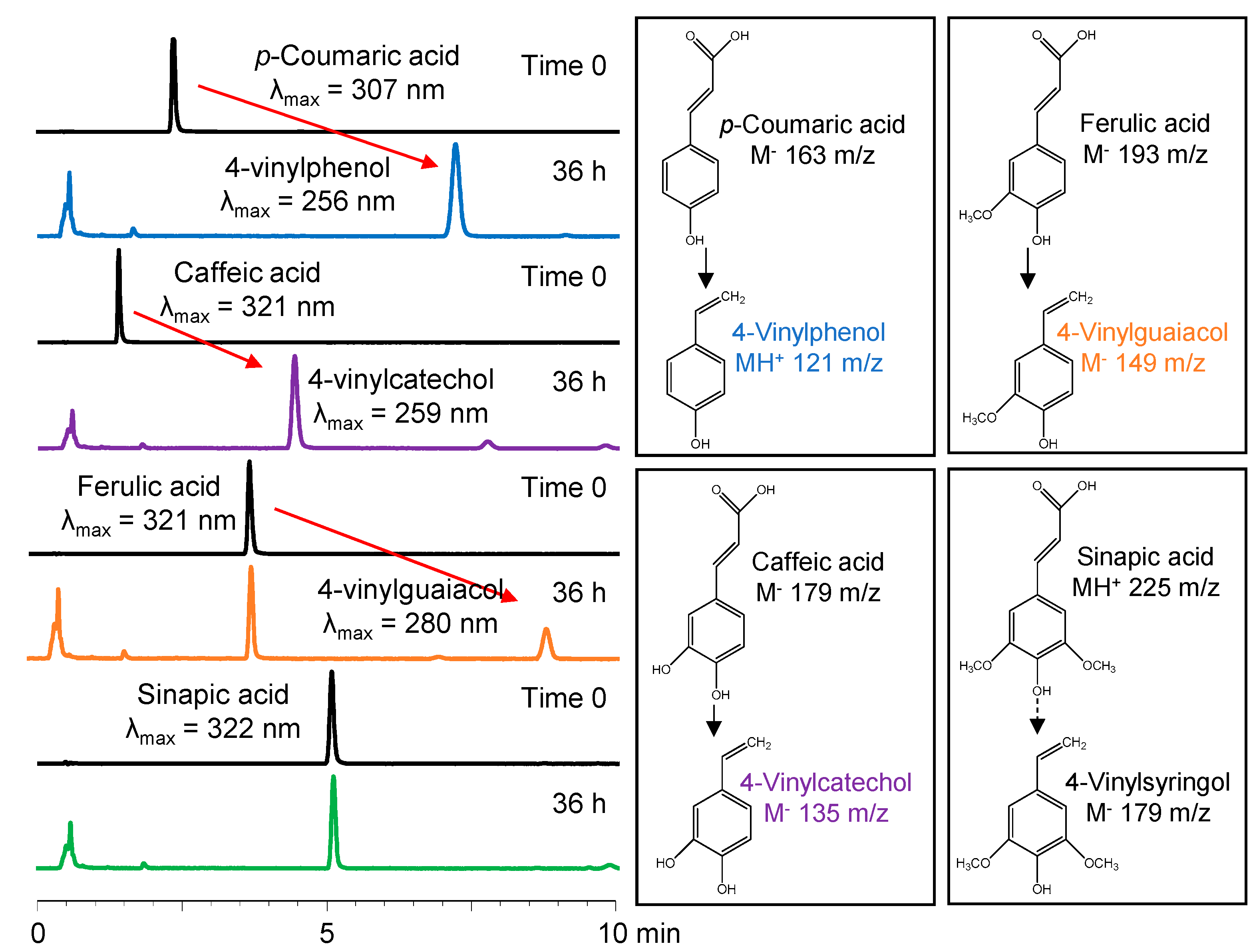 Molecules 25 03142 g003 Molecules 25 03142 g003
