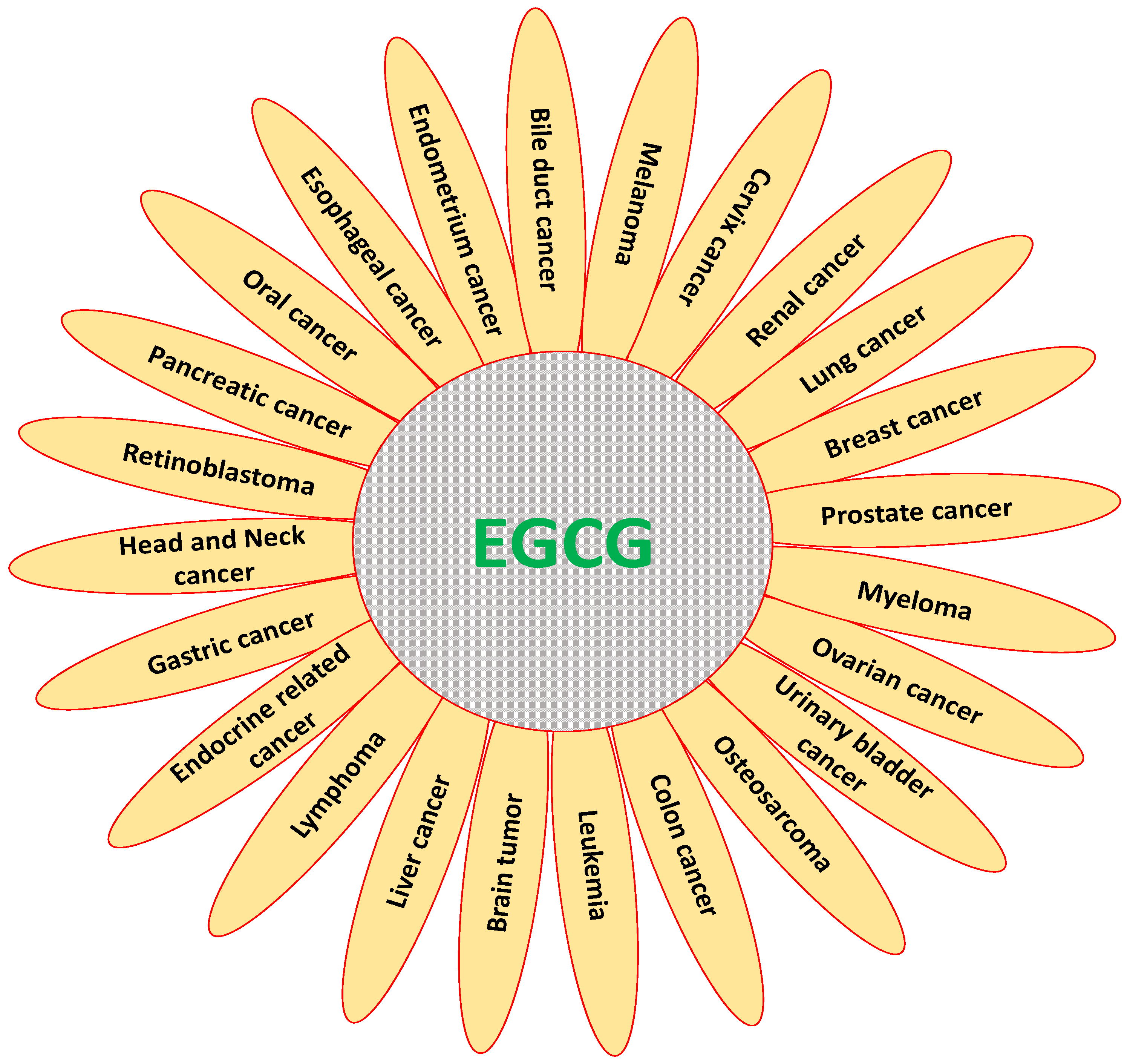 Molecules 25 03146 g004 Molecules 25 03146 g004