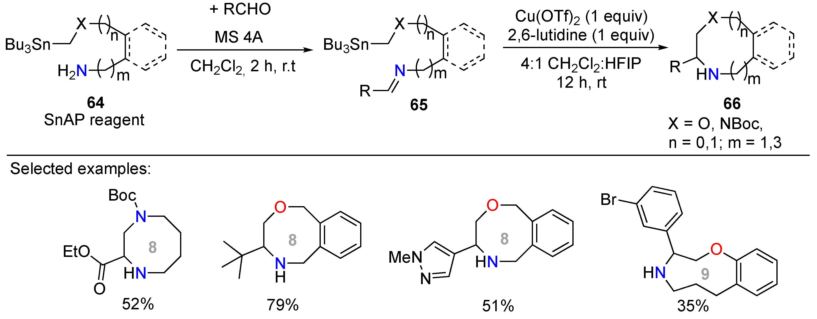 Molecules 25 03147 sch024 Molecules 25 03147 sch024