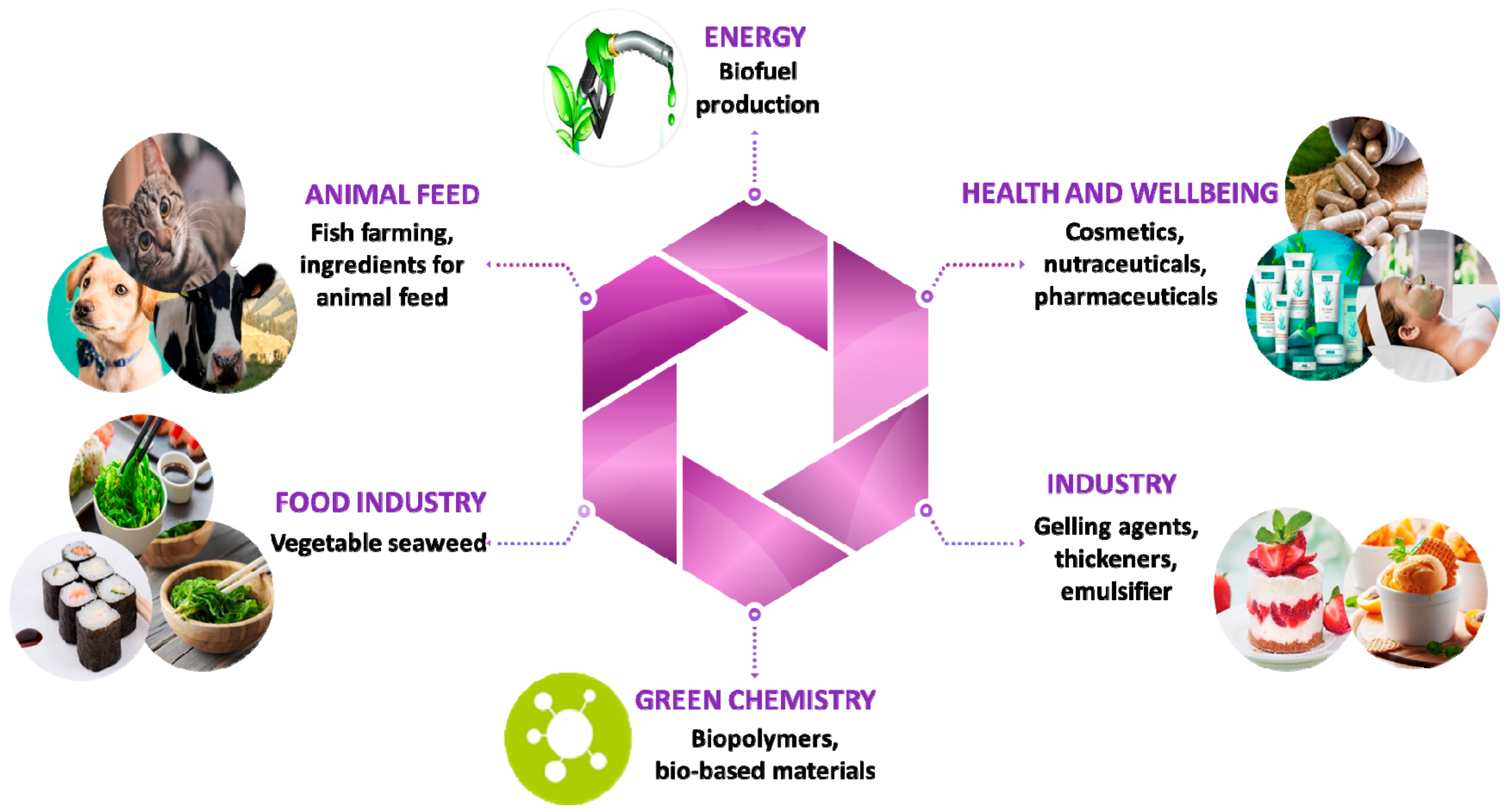 Molecules 25 03152 g003 Molecules 25 03152 g003